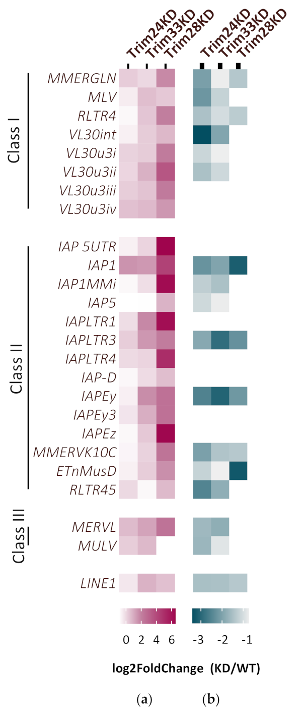 Viruses 12 01015 g003 Viruses 12 01015 g003