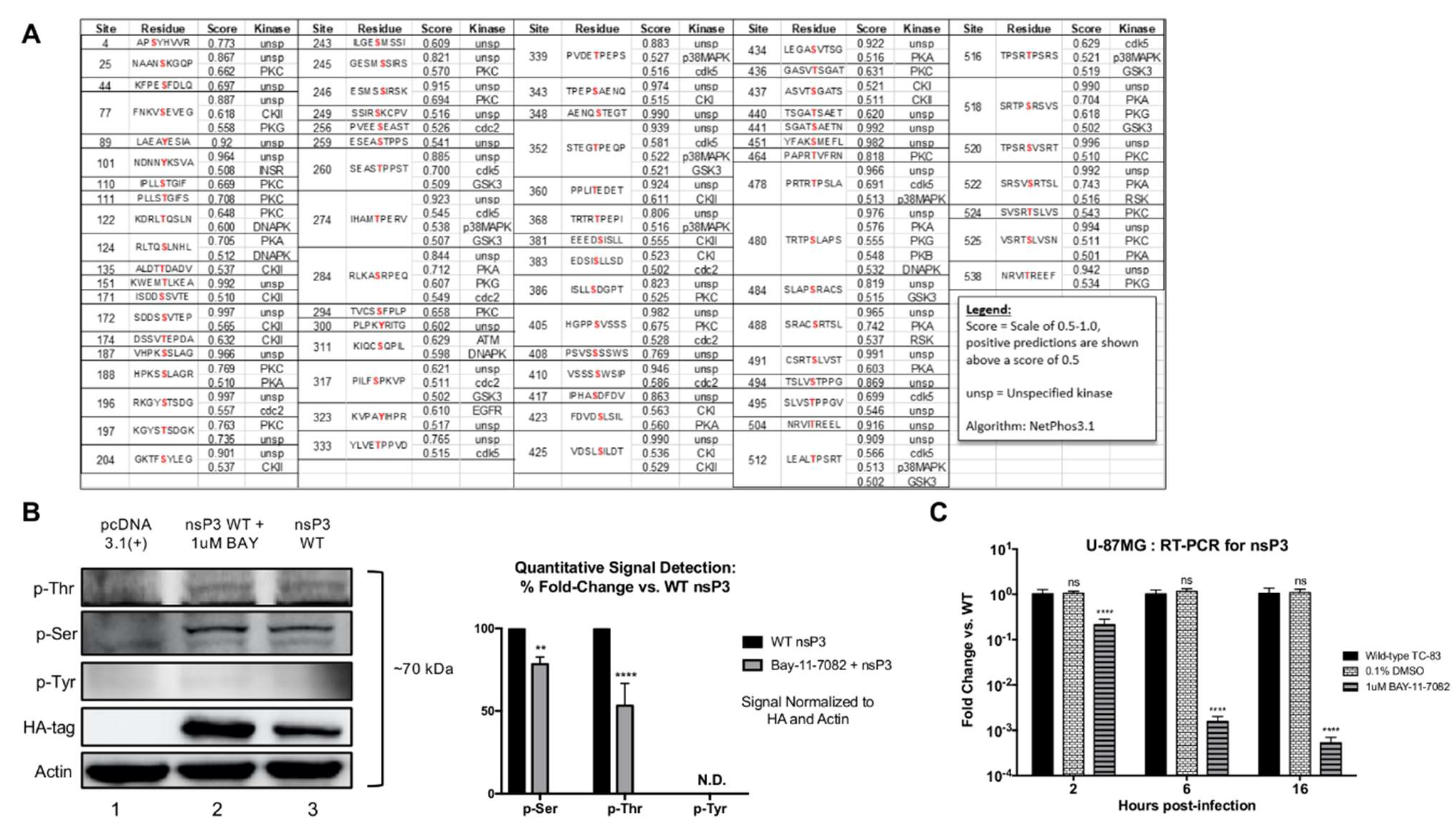 Viruses 12 01021 g001