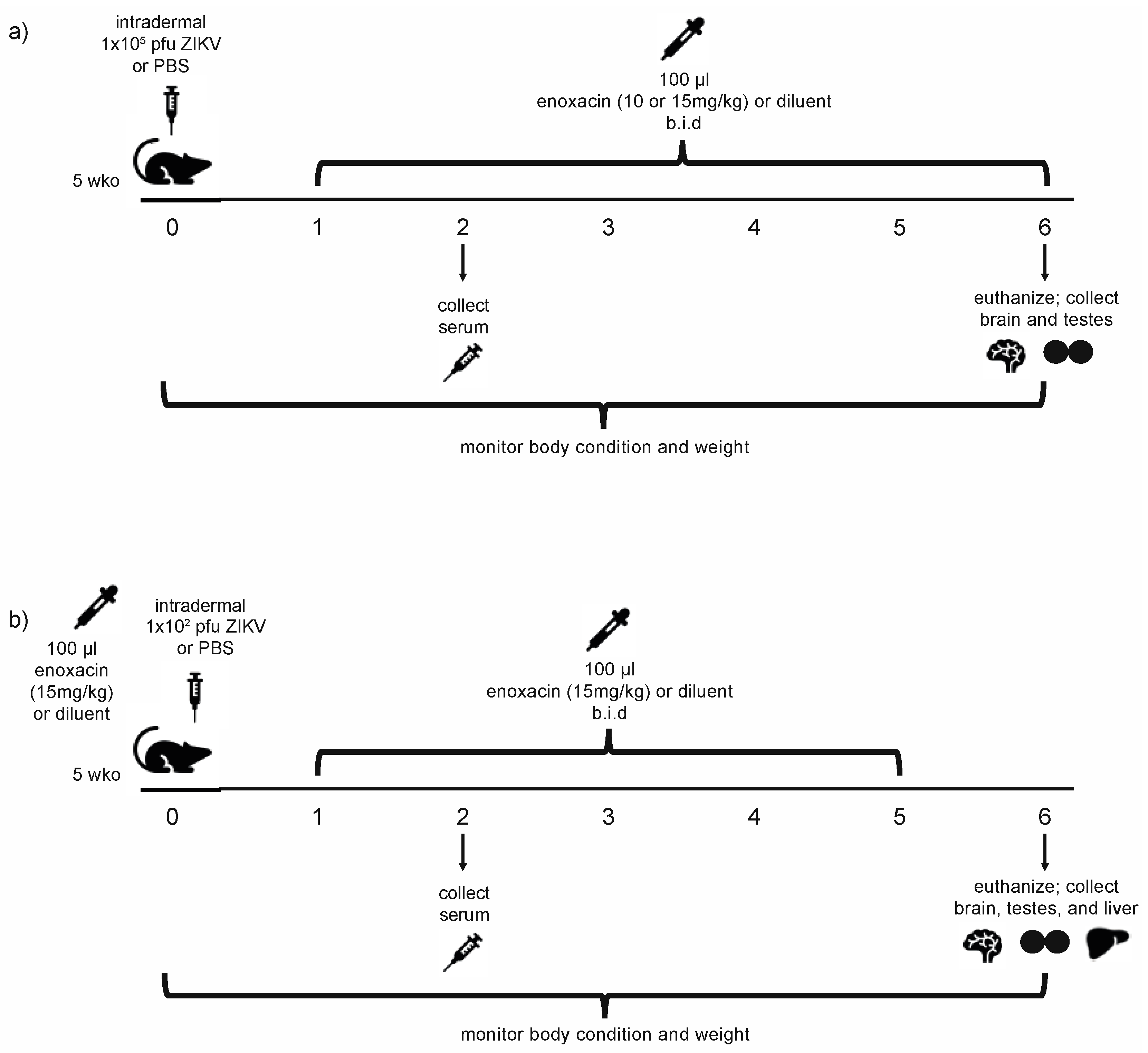 Viruses 12 01022 g001