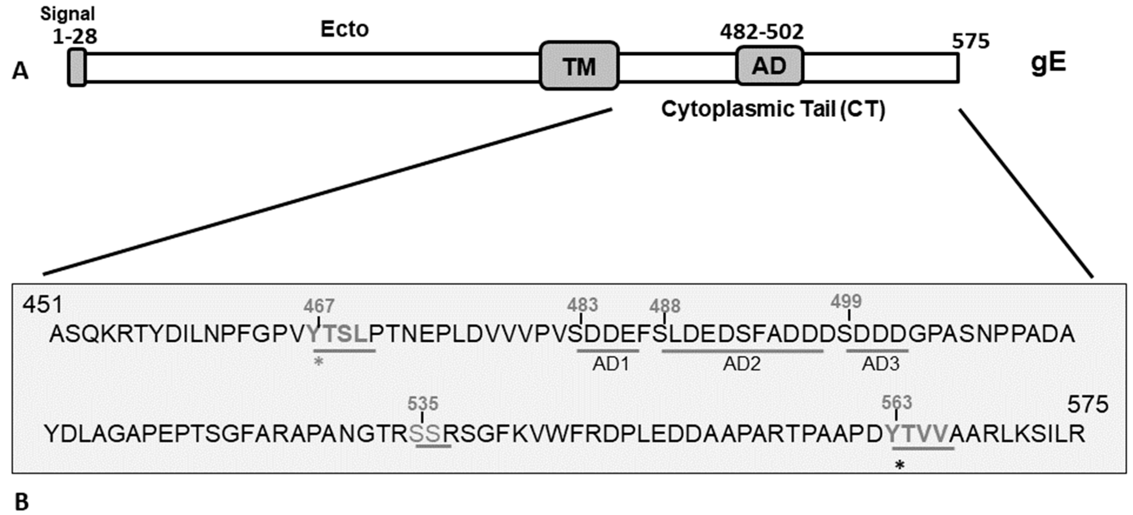 Viruses 12 01025 g001