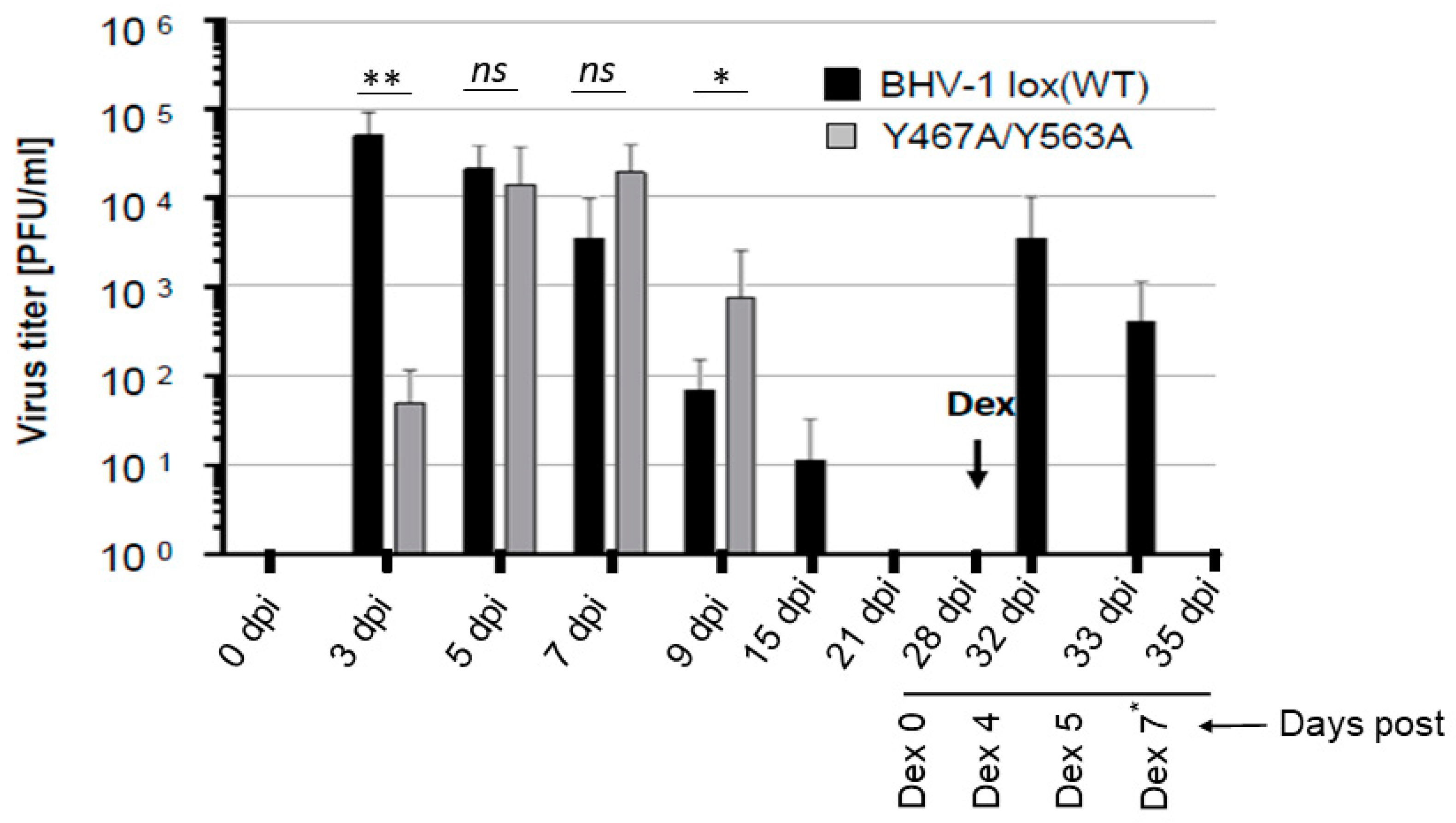 Viruses 12 01025 g003