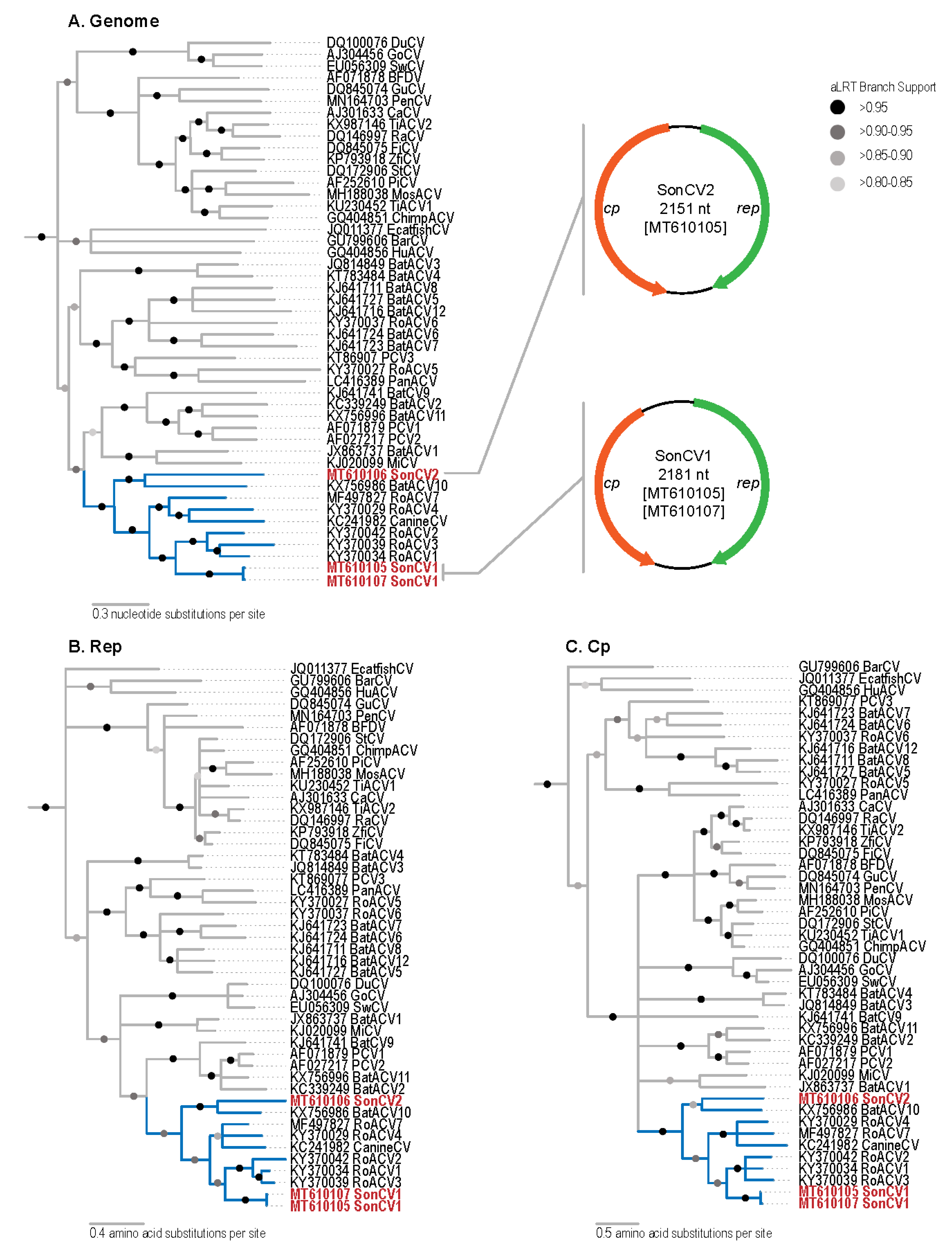 Viruses 12 01027 g001 Viruses 12 01027 g001