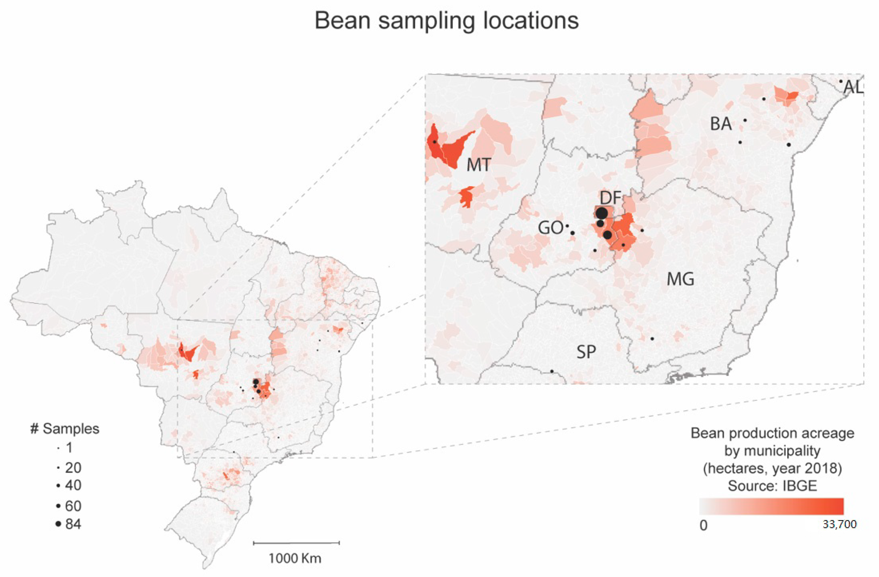 Viruses 12 01028 g002 Viruses 12 01028 g002