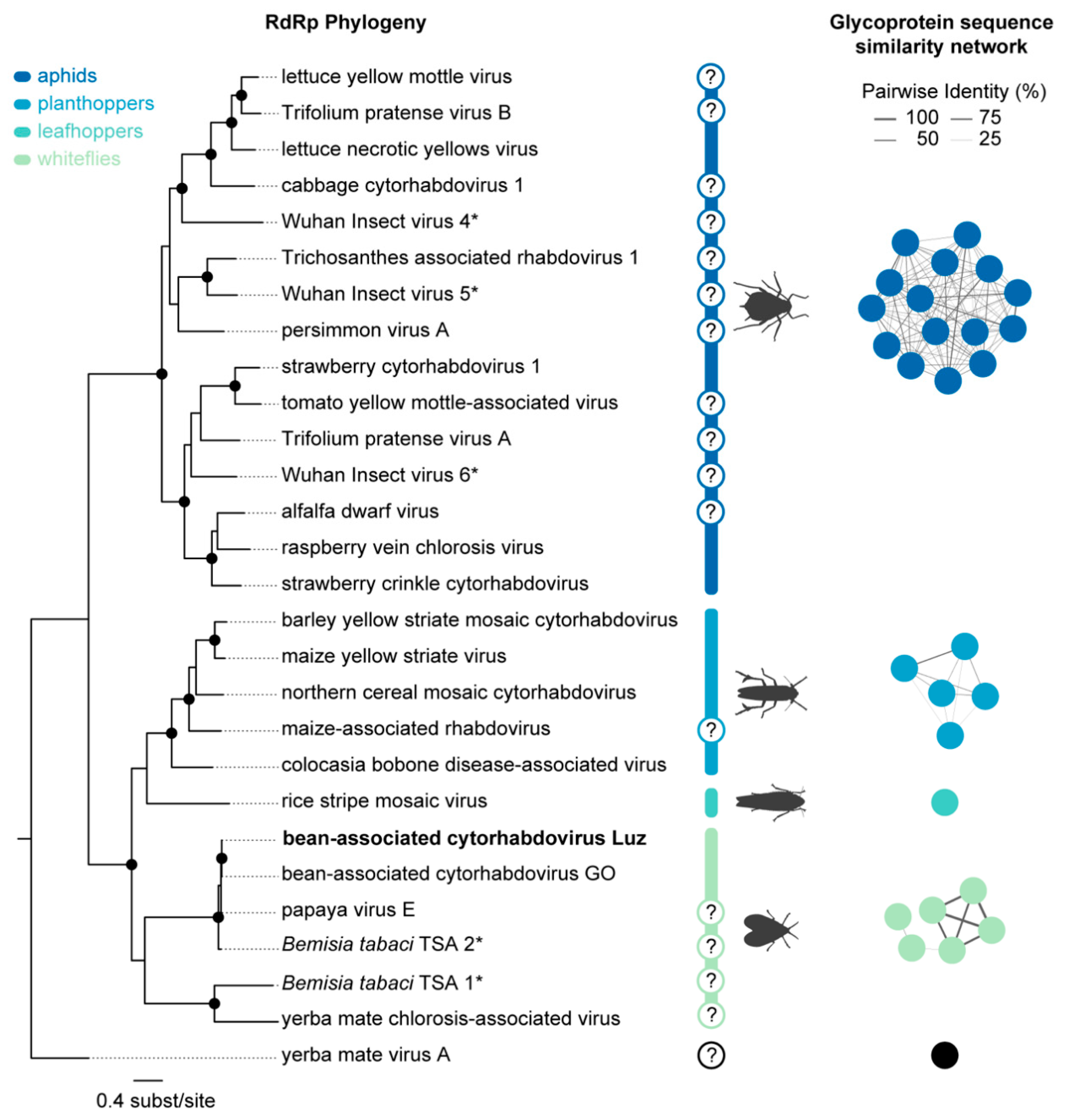 Viruses 12 01028 g006 Viruses 12 01028 g006