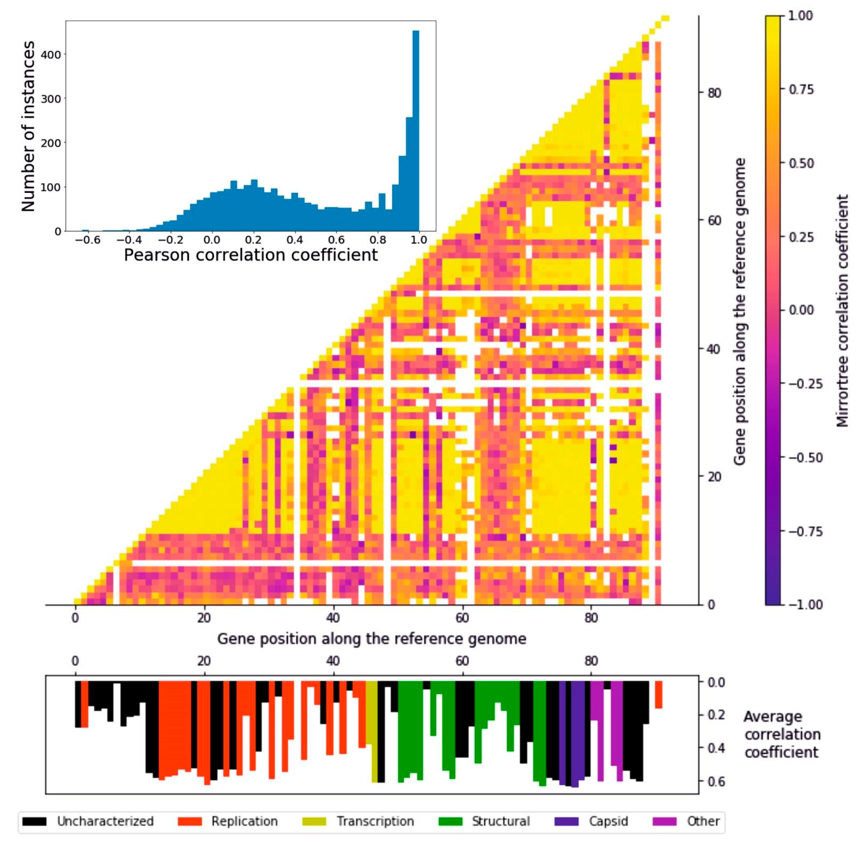 Viruses 12 01035 g003 Viruses 12 01035 g003