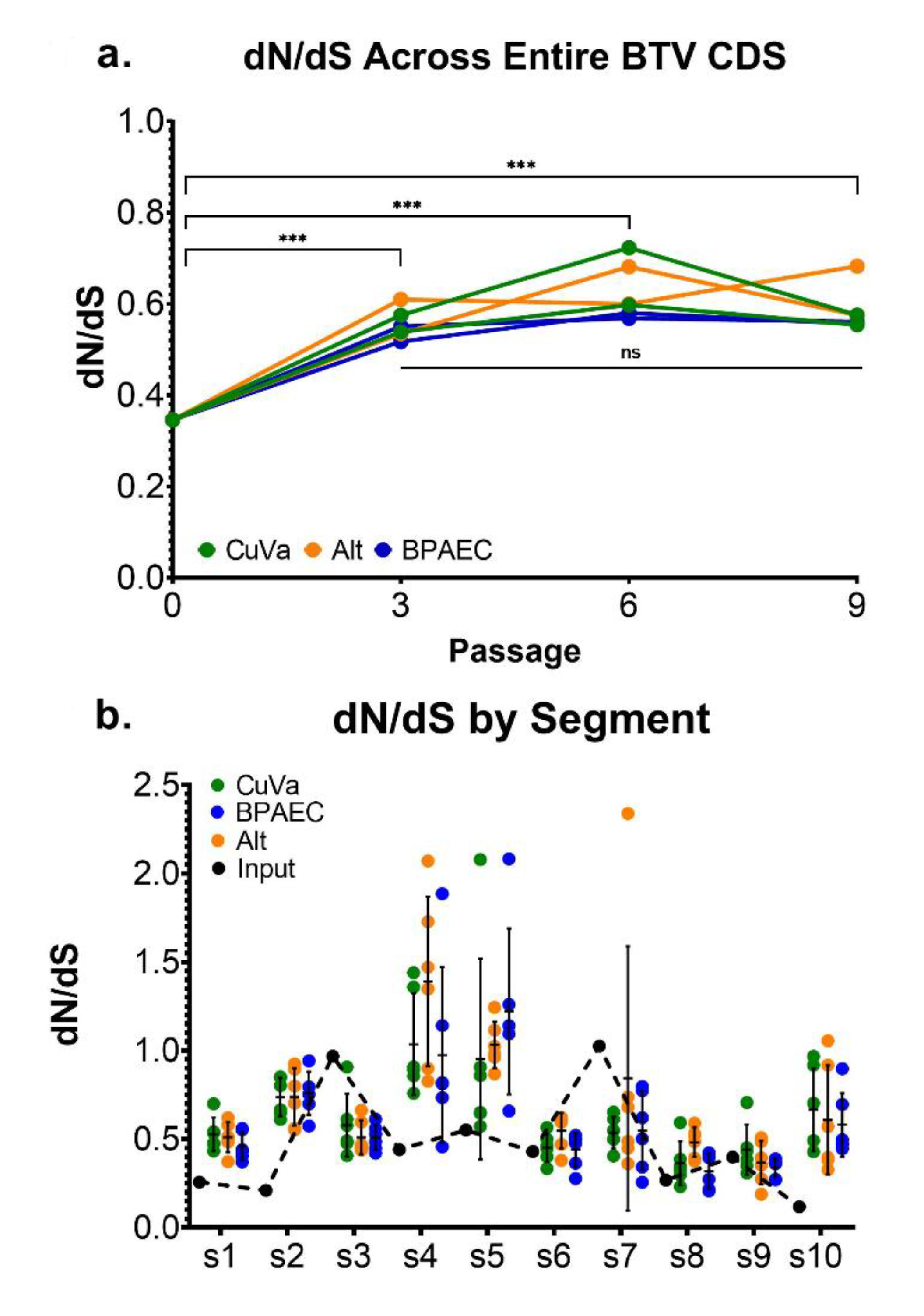Viruses 12 01038 g007 Viruses 12 01038 g007