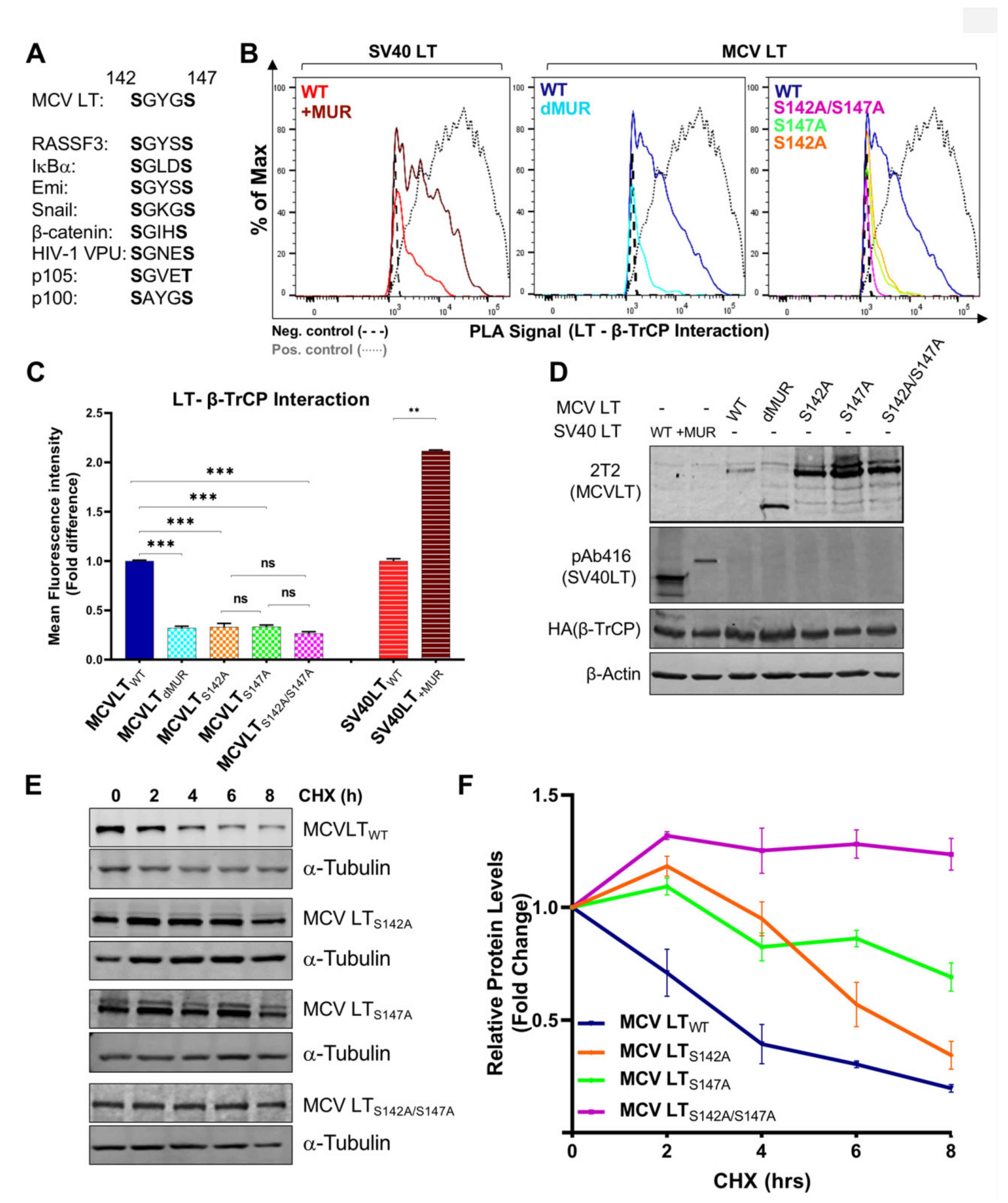 Viruses 12 01043 g006