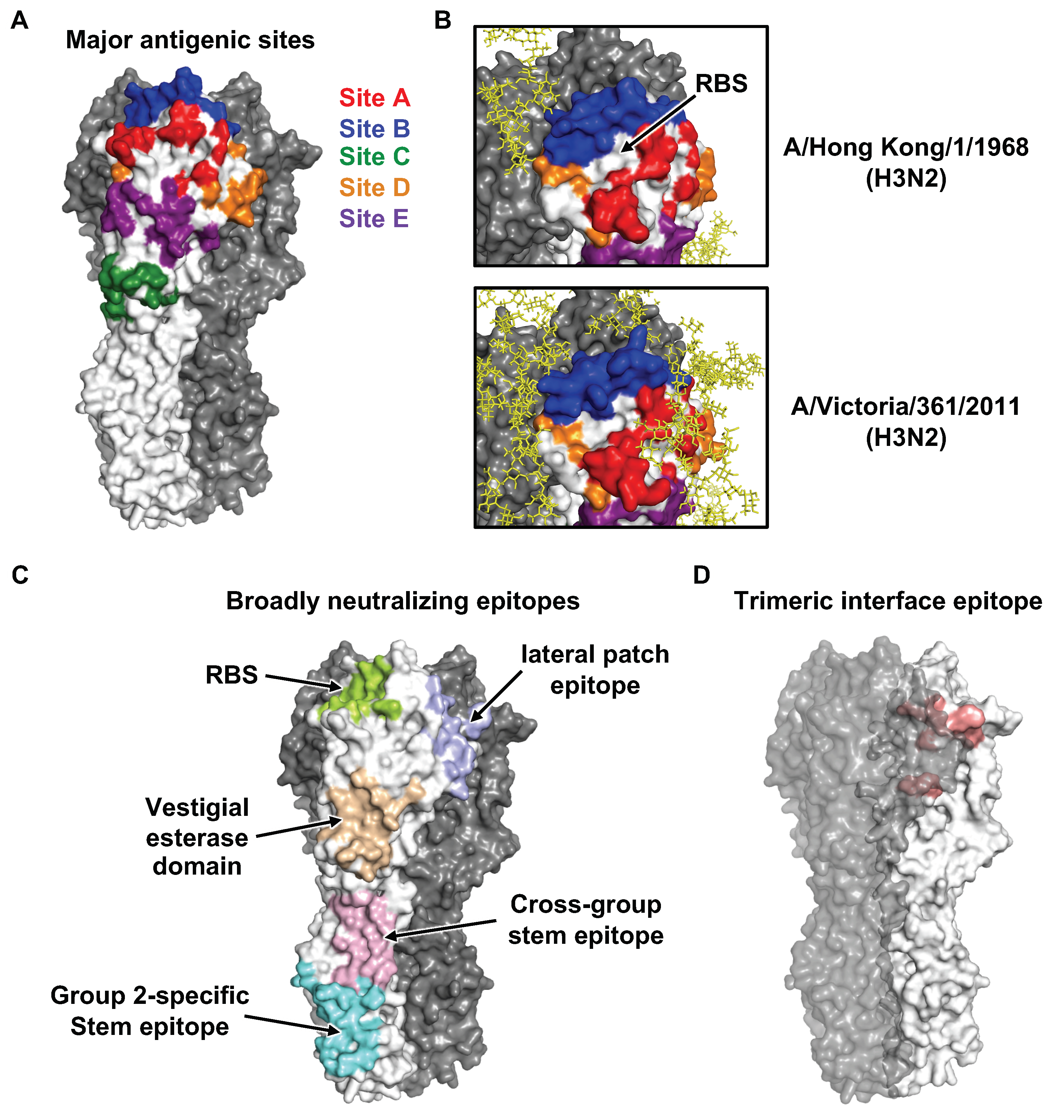 Viruses 12 01053 g003 Viruses 12 01053 g003