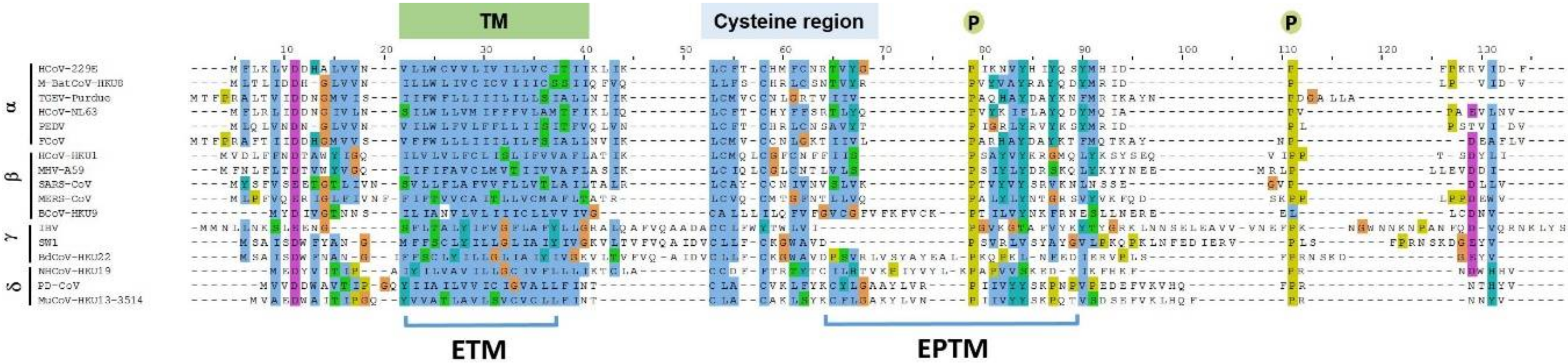 Viruses 12 01054 g001