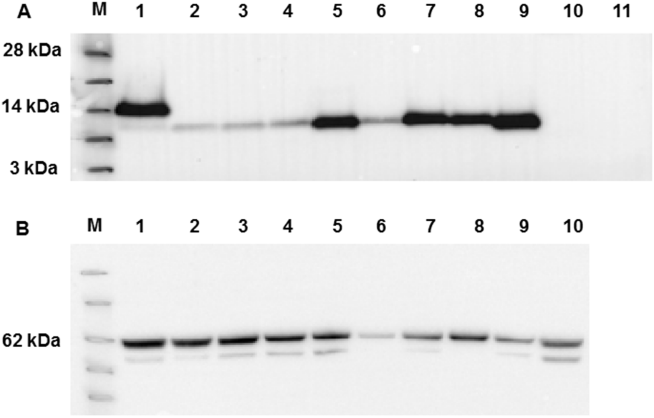 Viruses 12 01054 g004