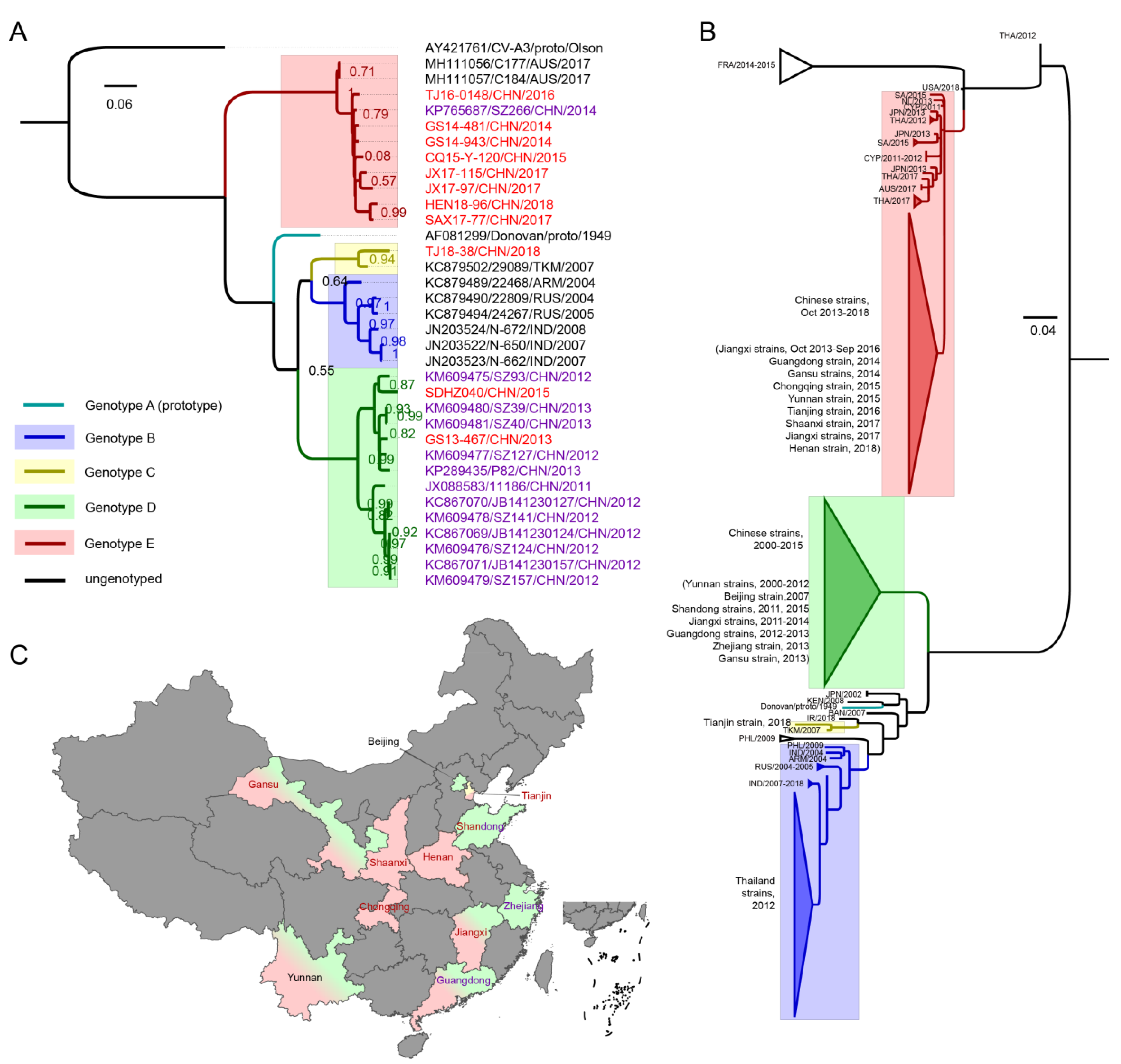 Viruses 12 01061 g001
