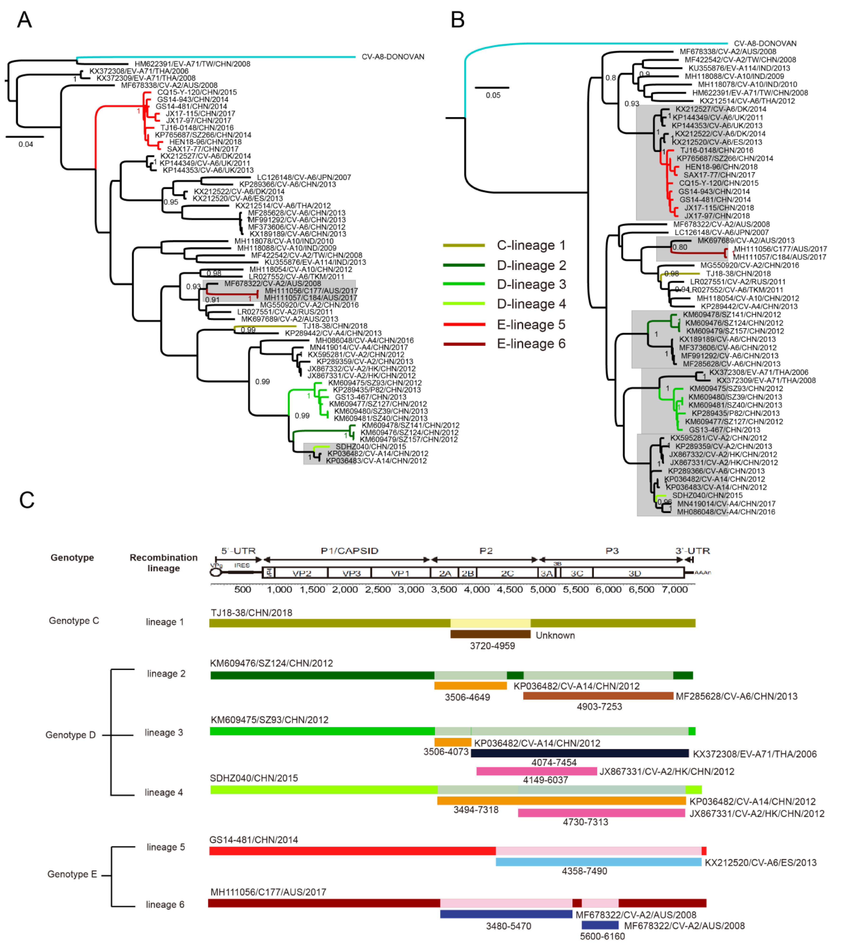 Viruses 12 01061 g004