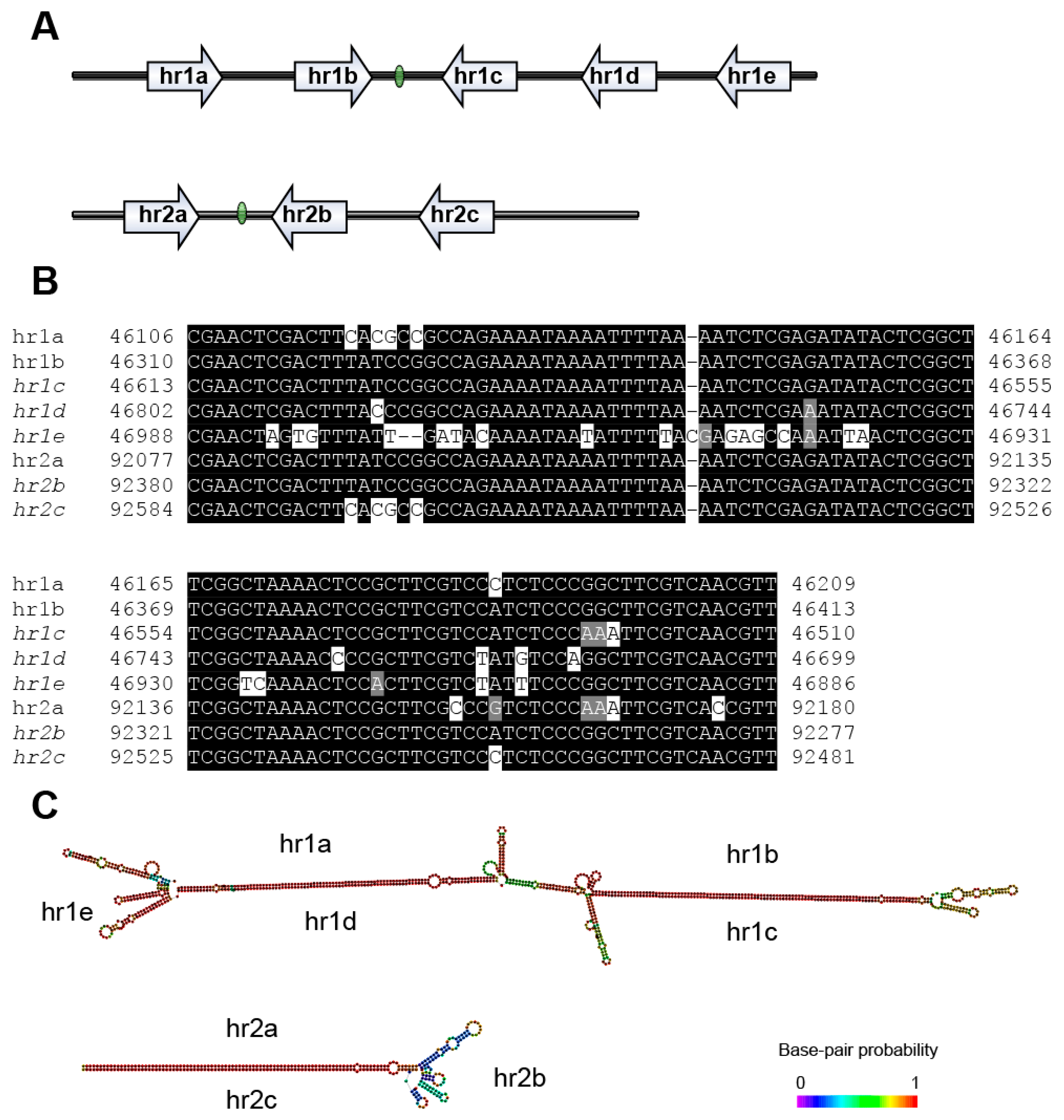 Viruses 12 01068 g005