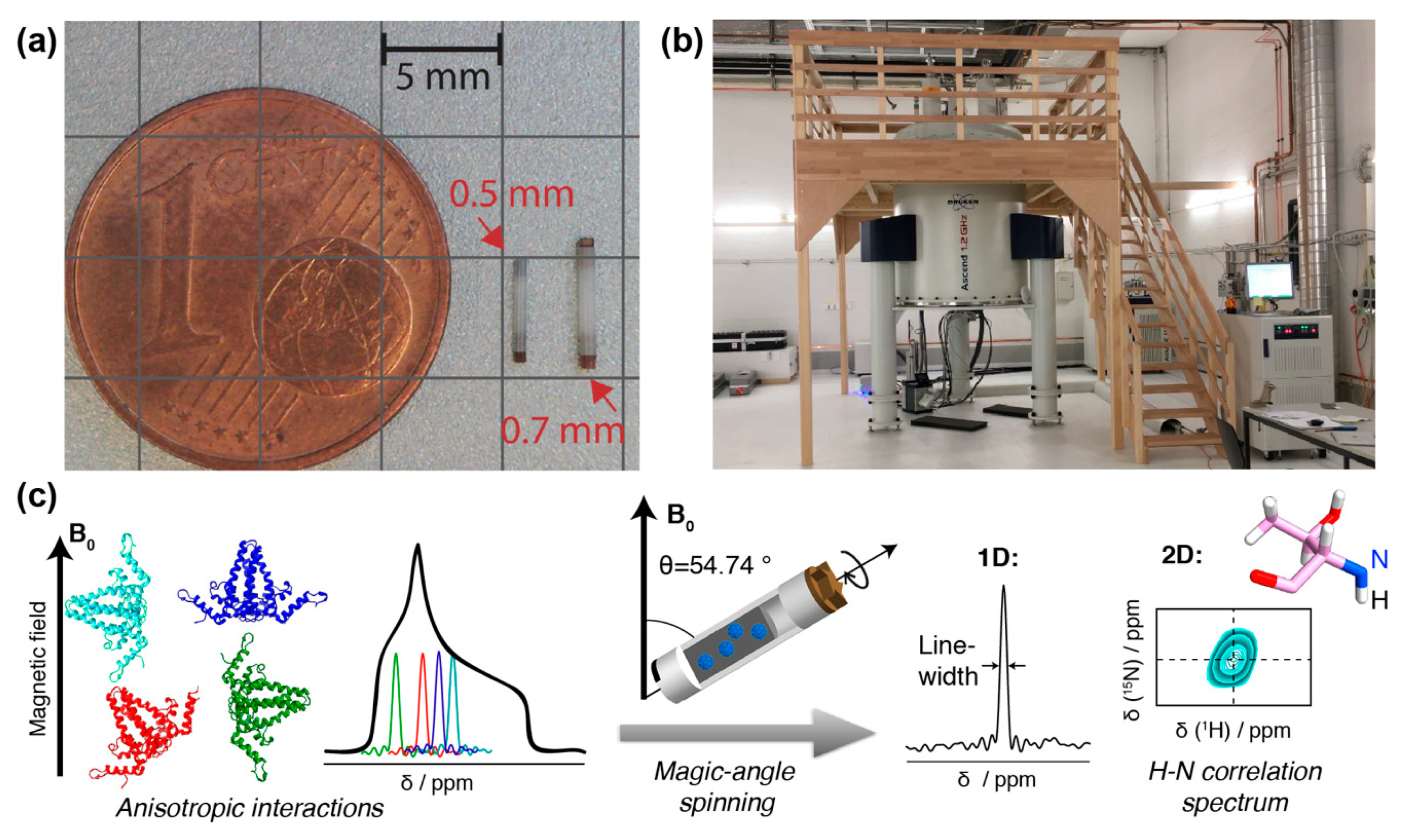 Viruses 12 01069 g001