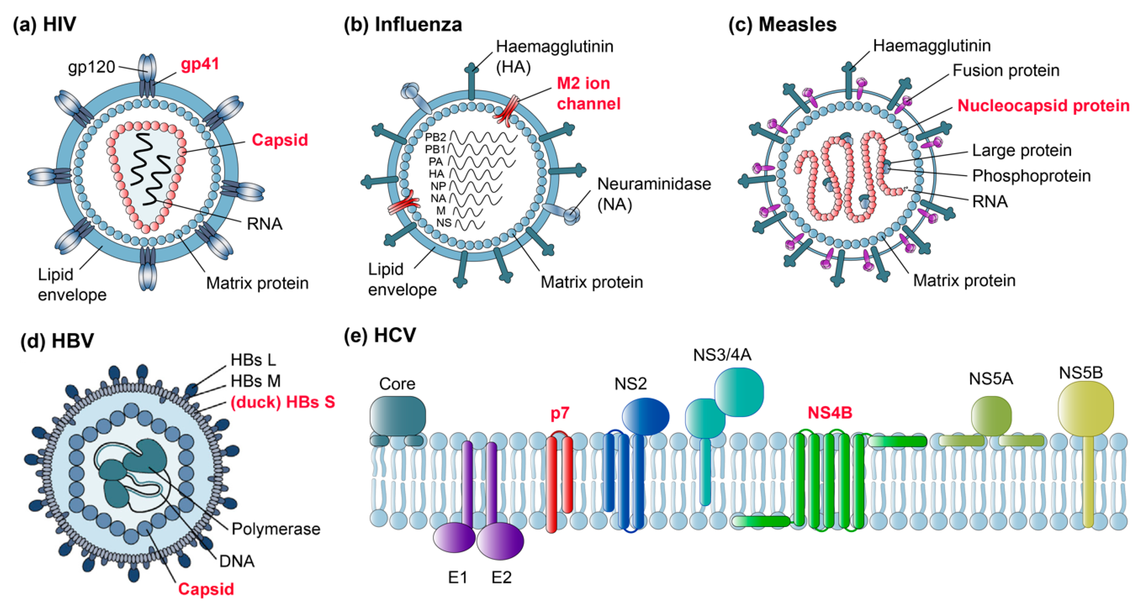 Viruses 12 01069 g002