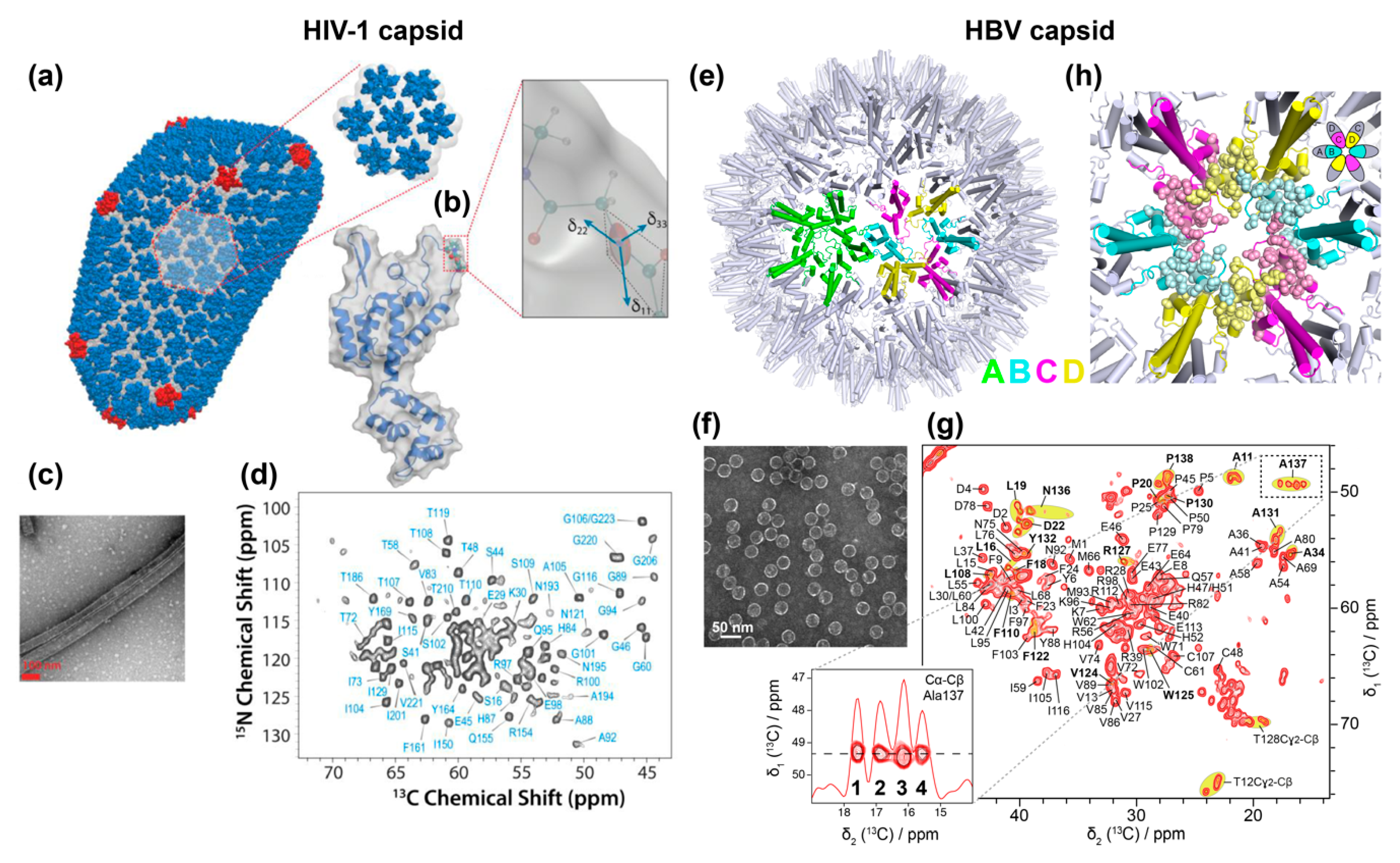 Viruses 12 01069 g003