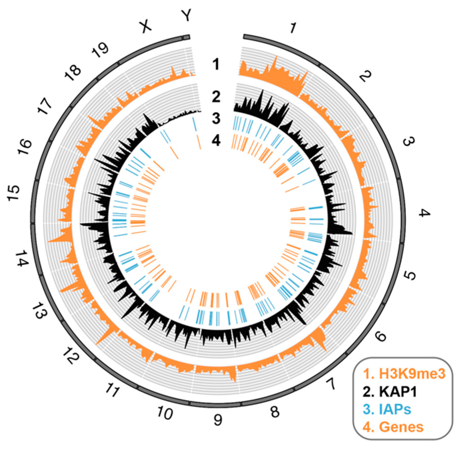 Viruses 12 01089 g004 Viruses 12 01089 g004