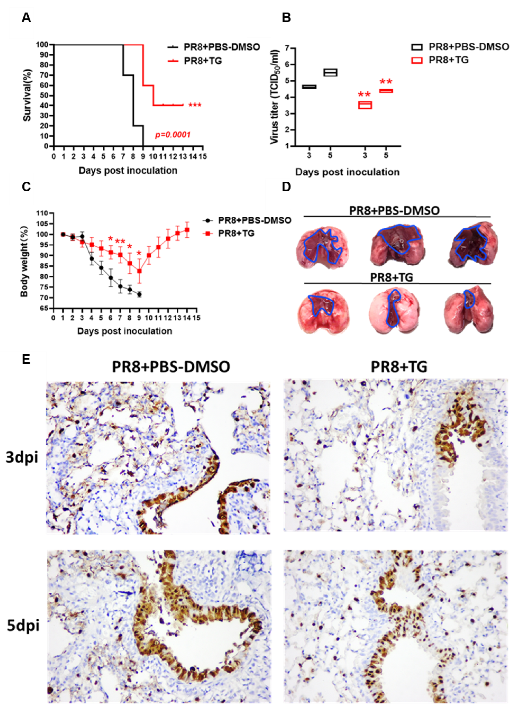 Viruses 12 01093 g006 Viruses 12 01093 g006