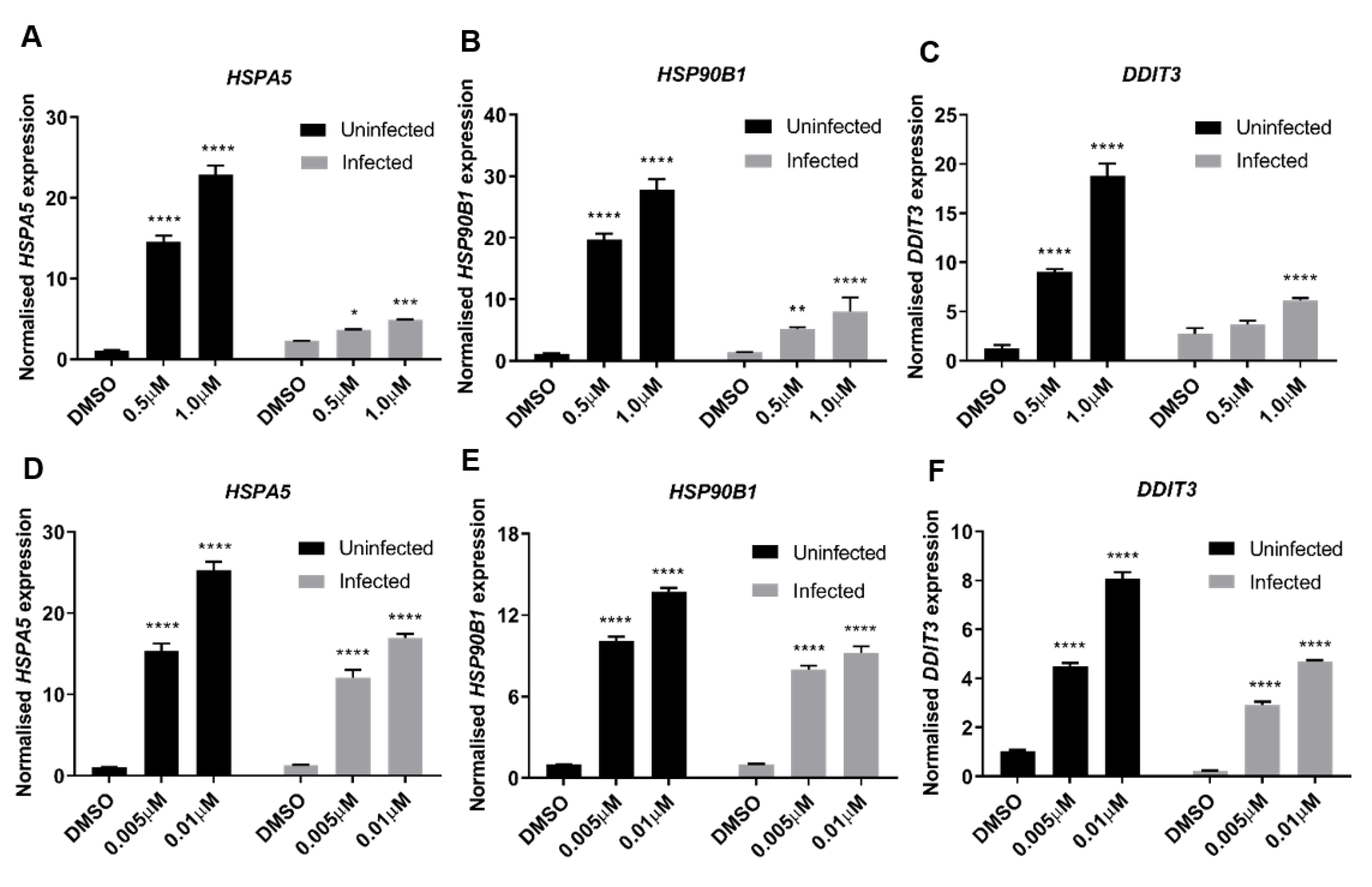 Viruses 12 01093 g007 Viruses 12 01093 g007