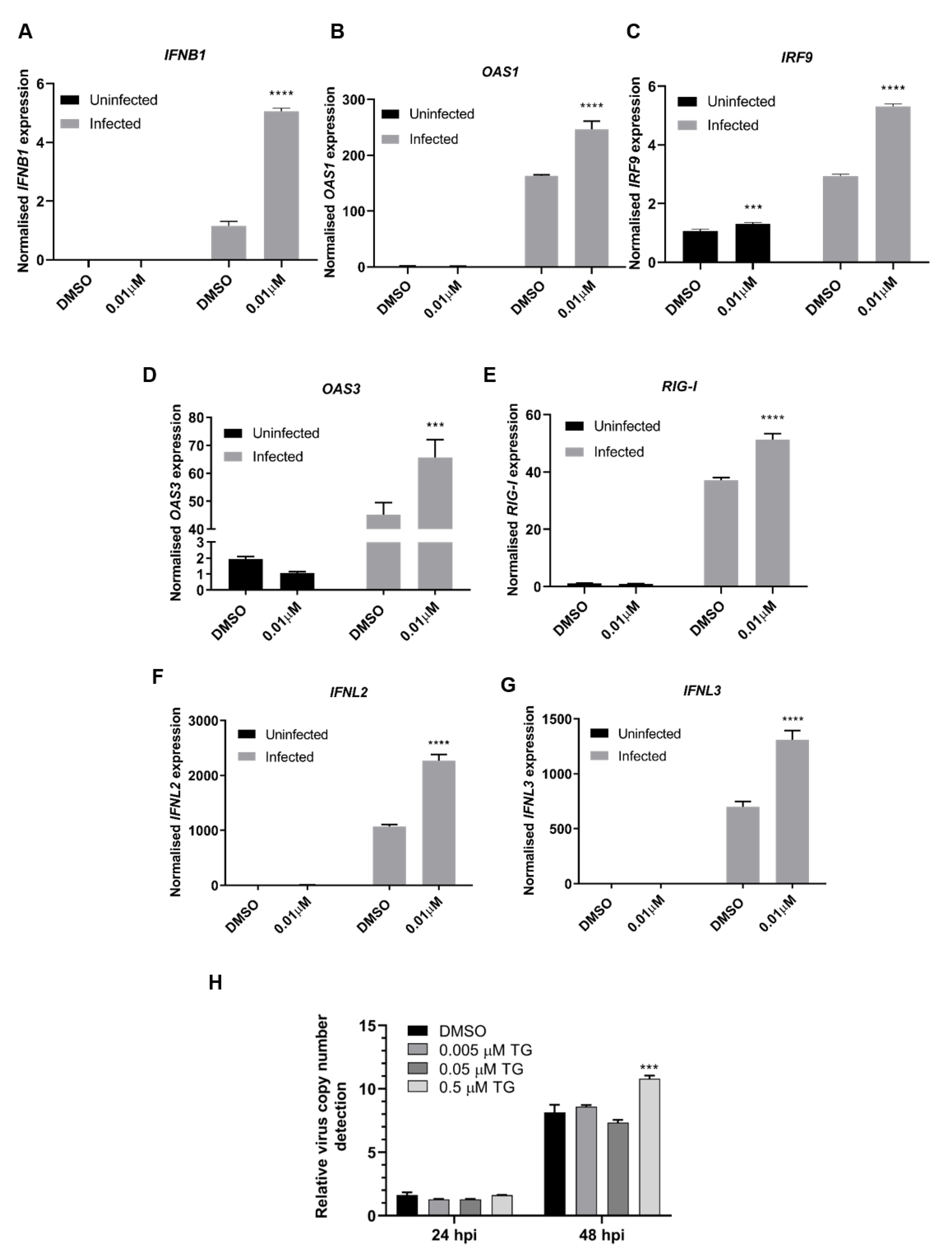 Viruses 12 01093 g008 Viruses 12 01093 g008