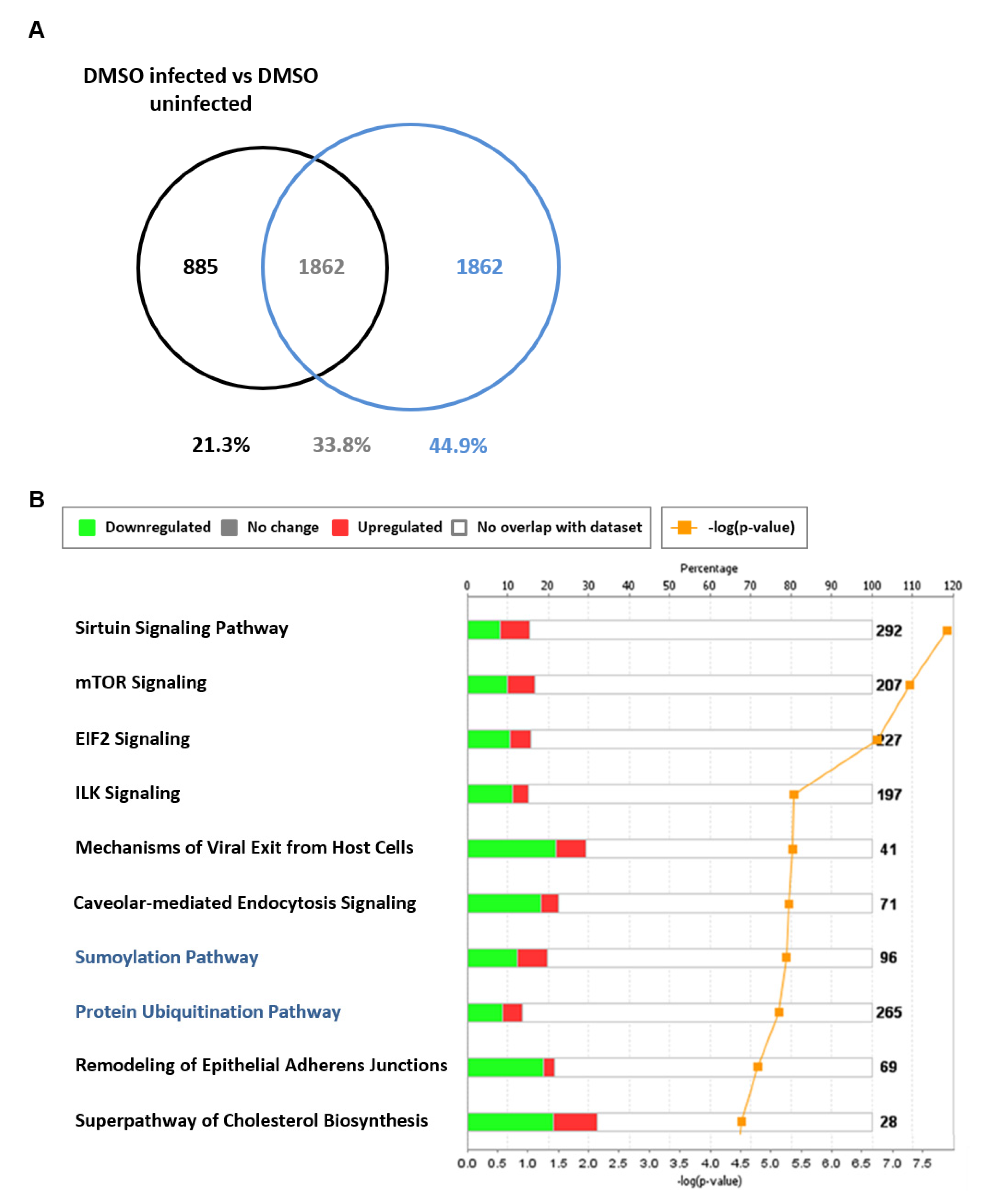Viruses 12 01093 g009 Viruses 12 01093 g009