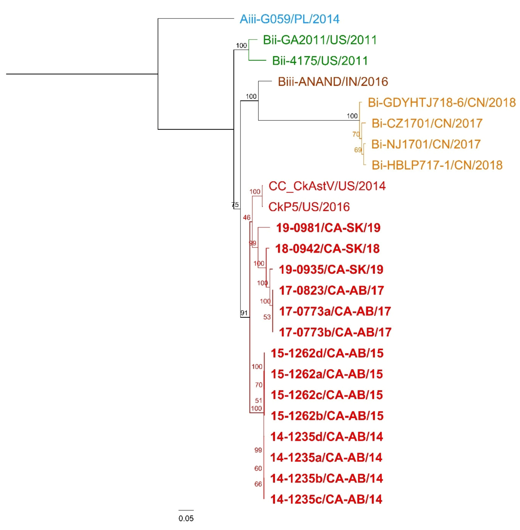 Viruses 12 01096 g003