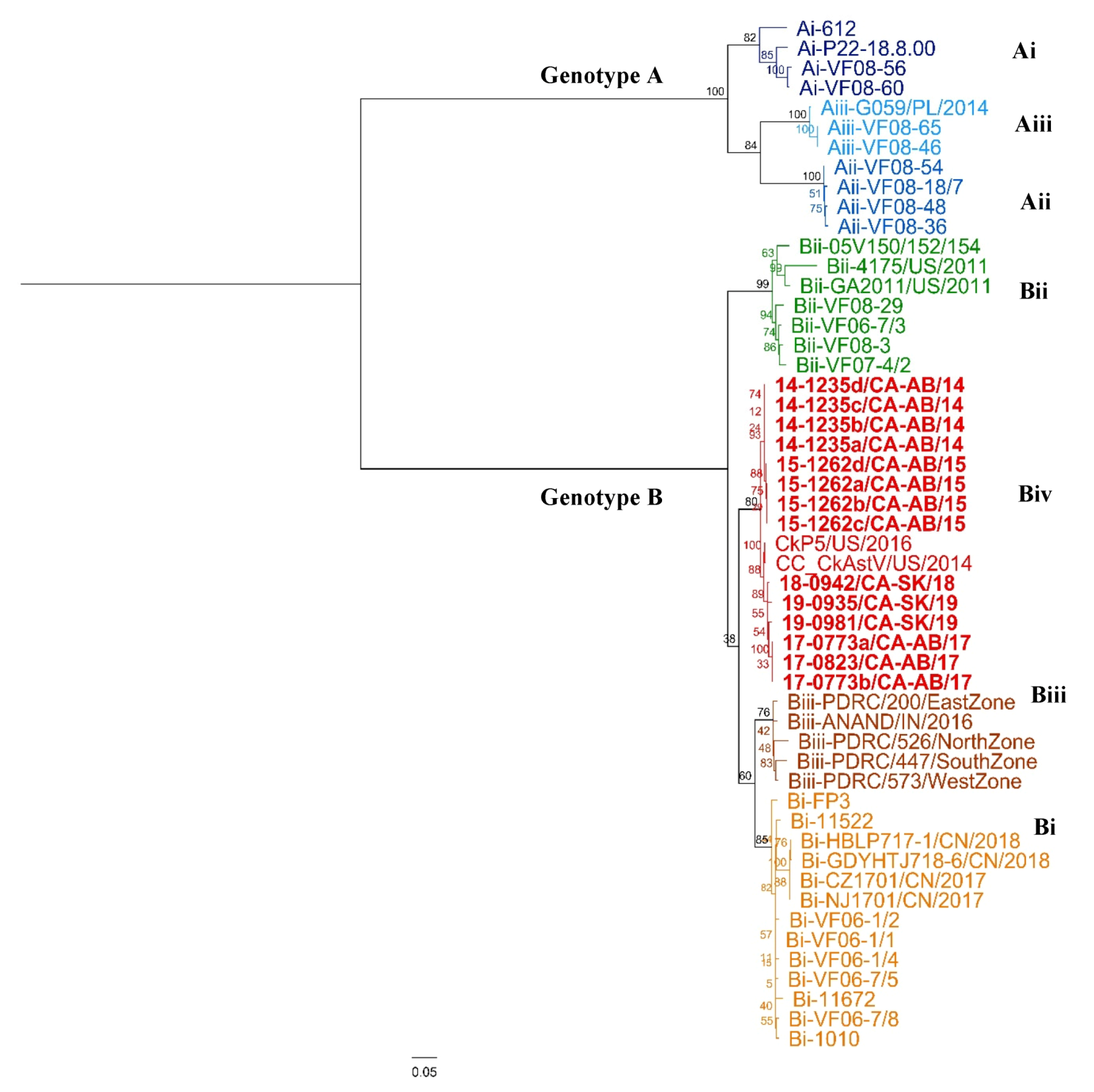 Viruses 12 01096 g004