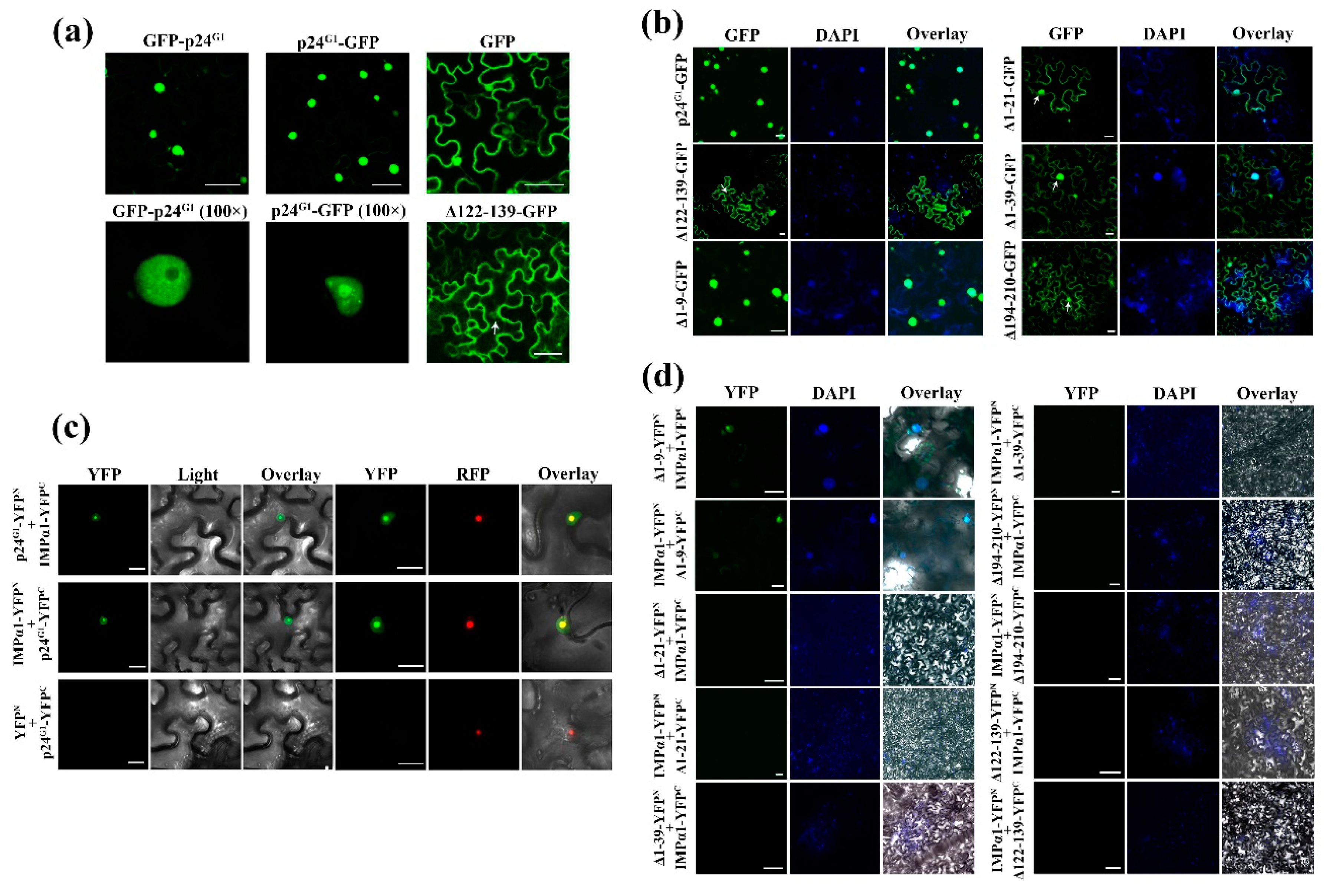 Viruses 12 01111 g004