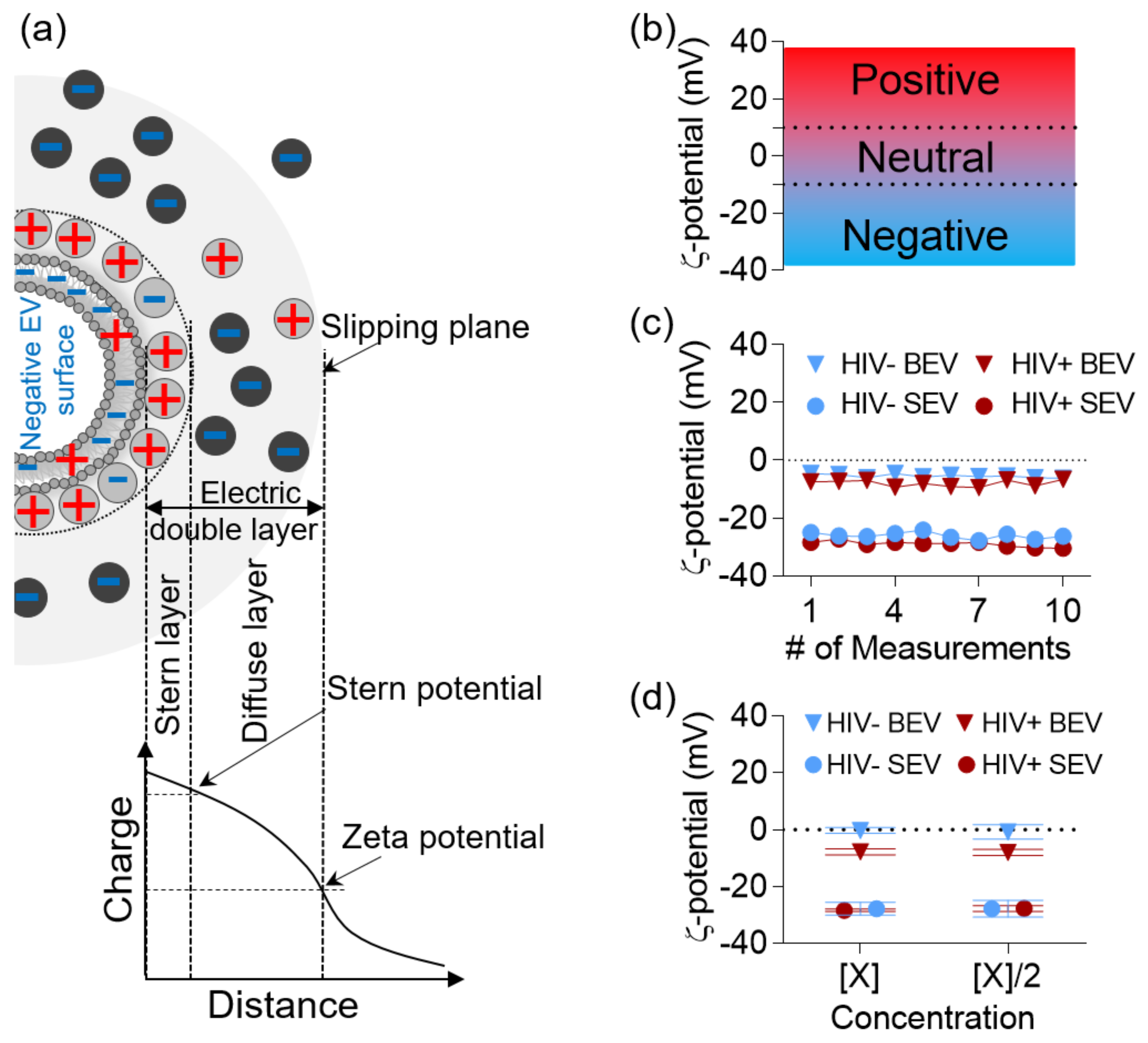 Viruses 12 01117 g001