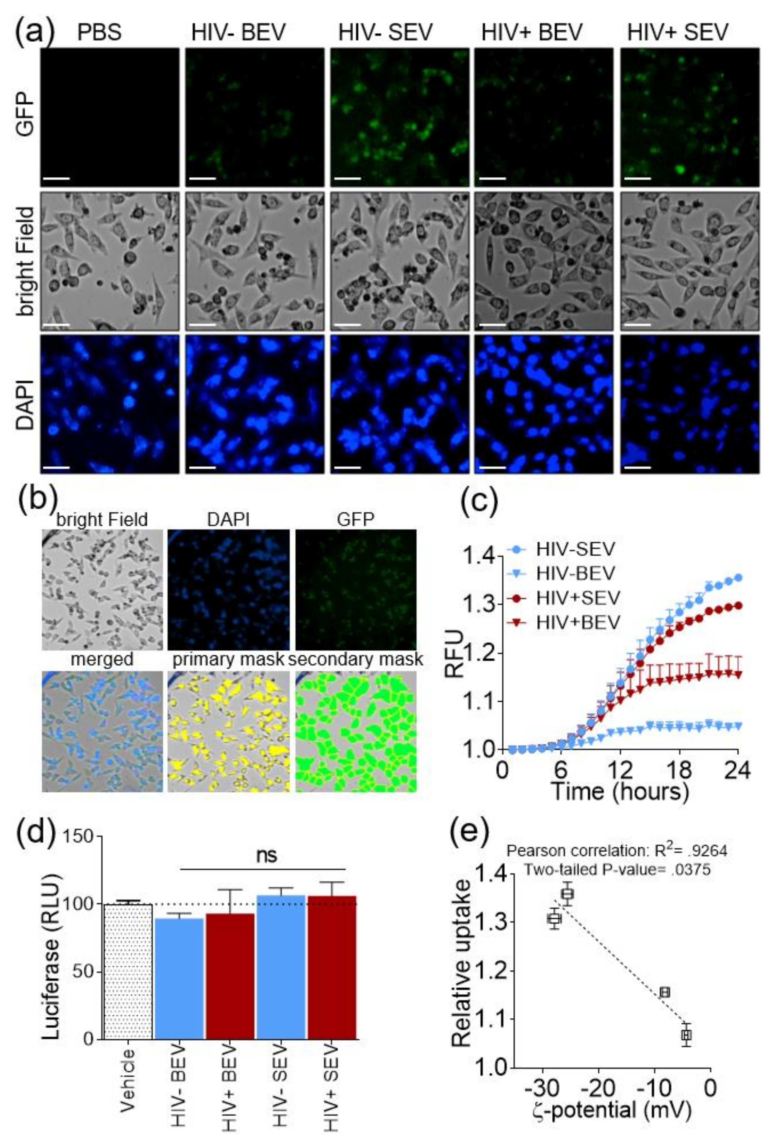 Viruses 12 01117 g003