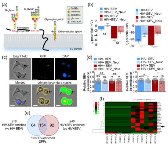 Viruses 12 01117 g005