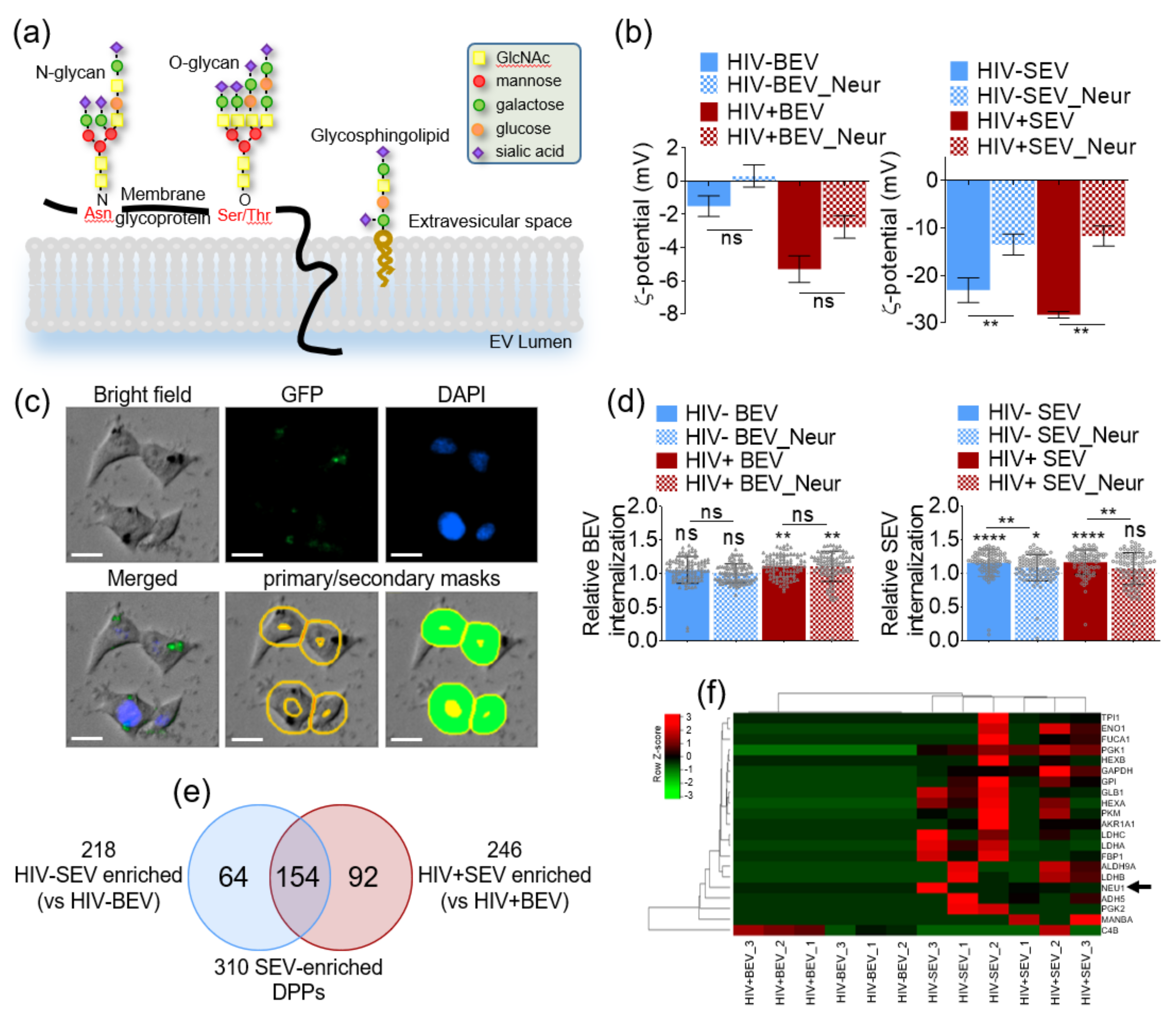 Viruses 12 01117 g005