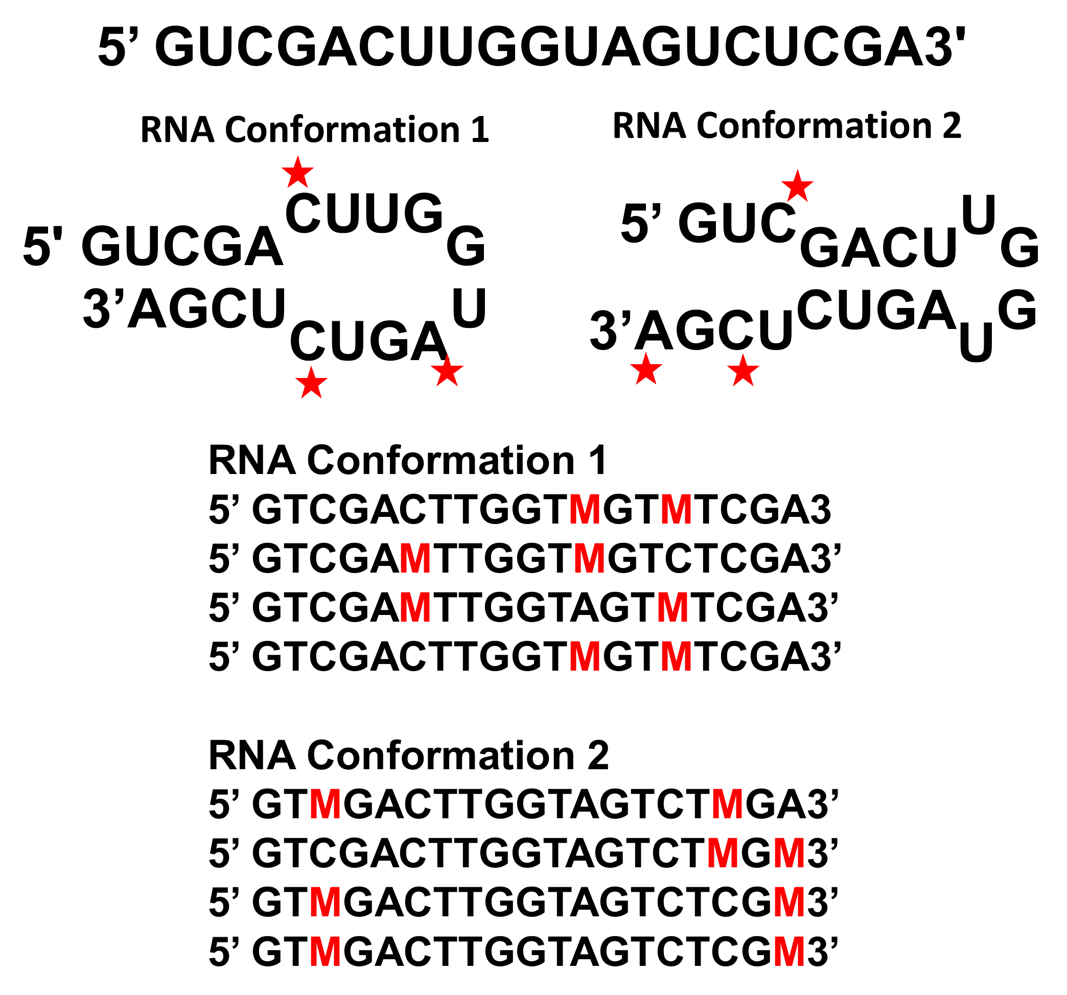 Viruses 12 01126 g002