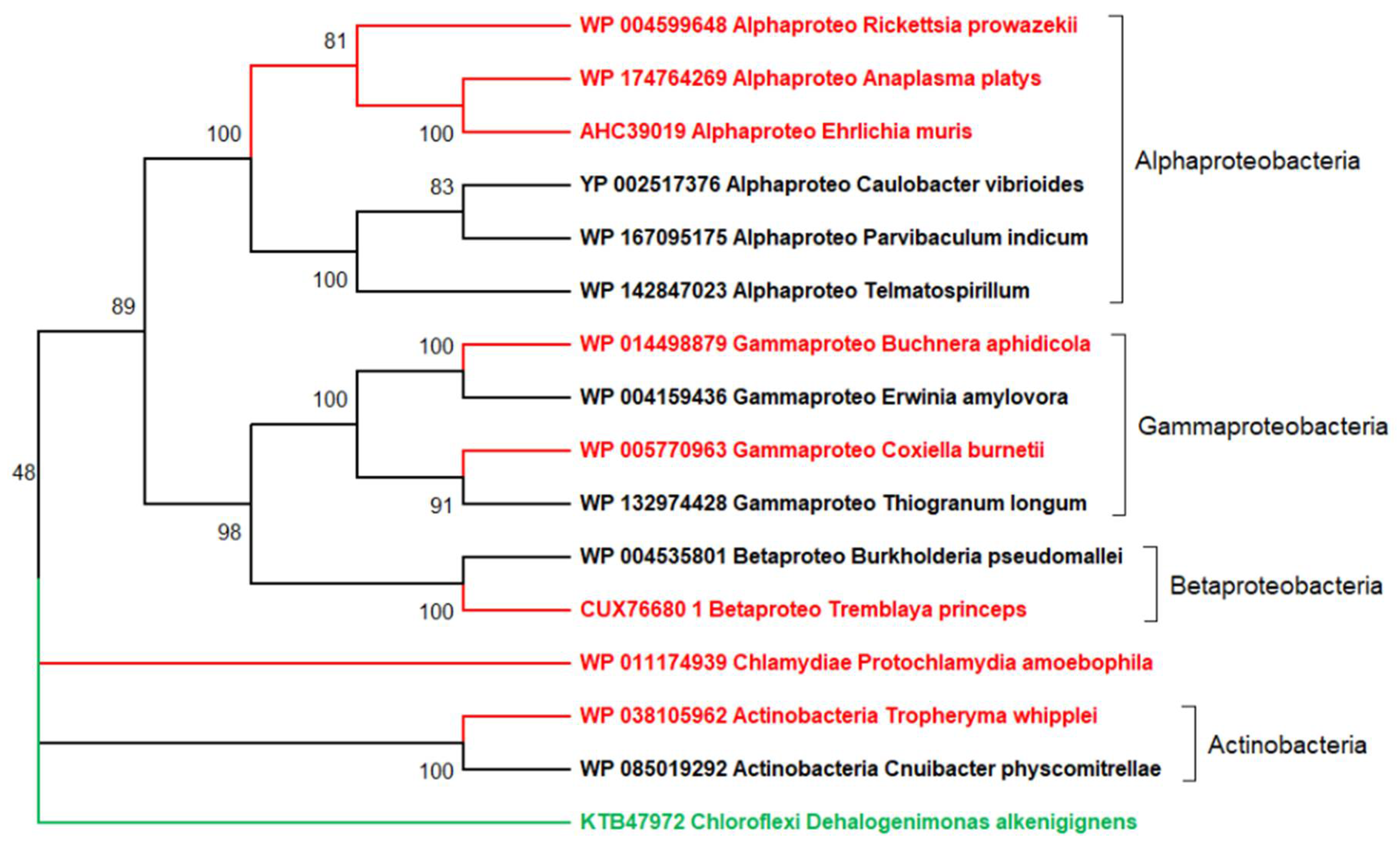 Viruses 12 01130 g002