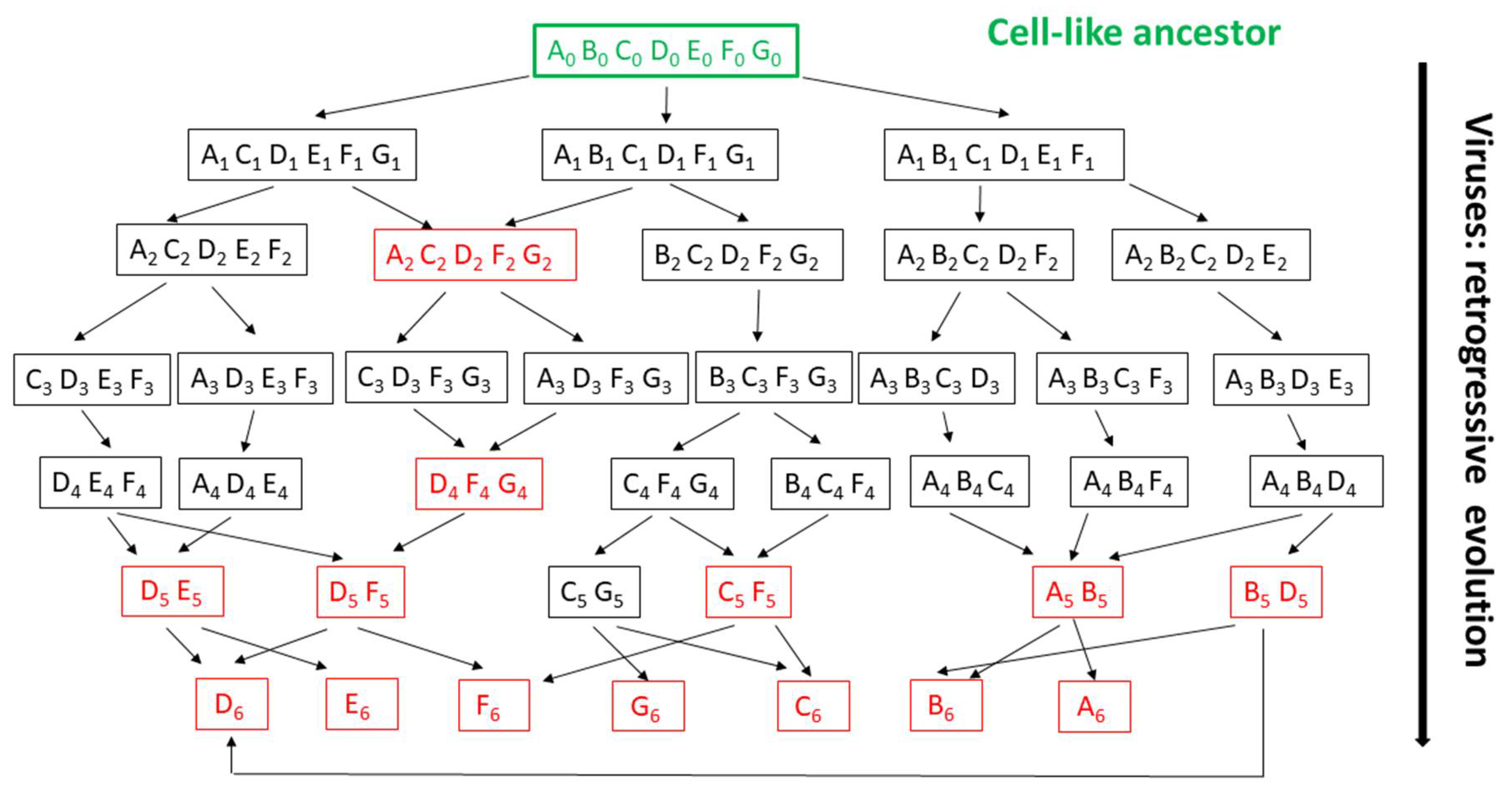 Viruses 12 01130 g003