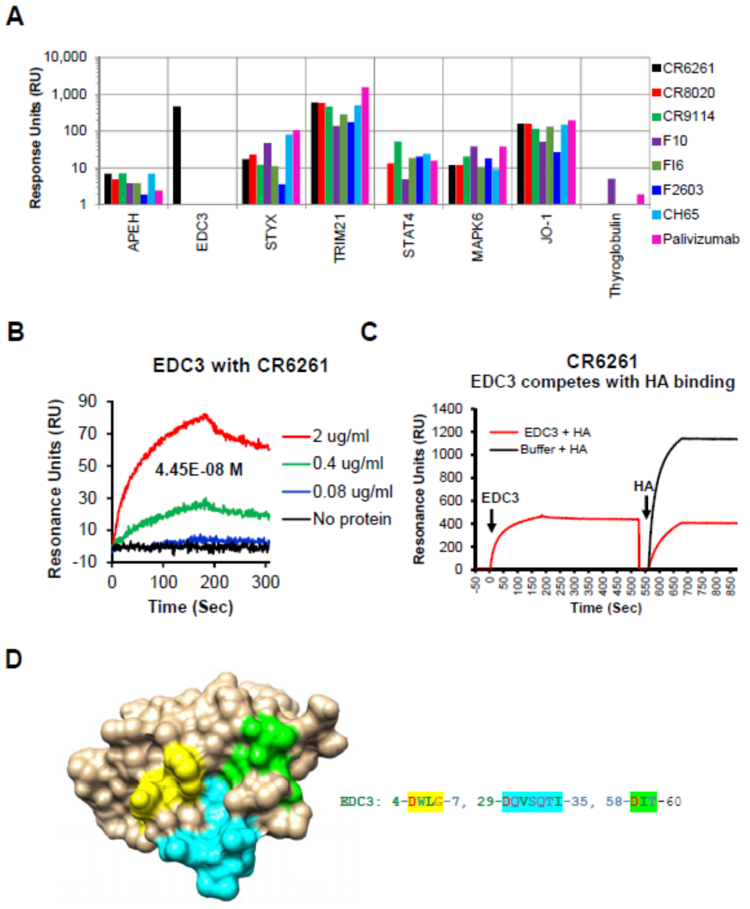 Viruses 12 01140 g001
