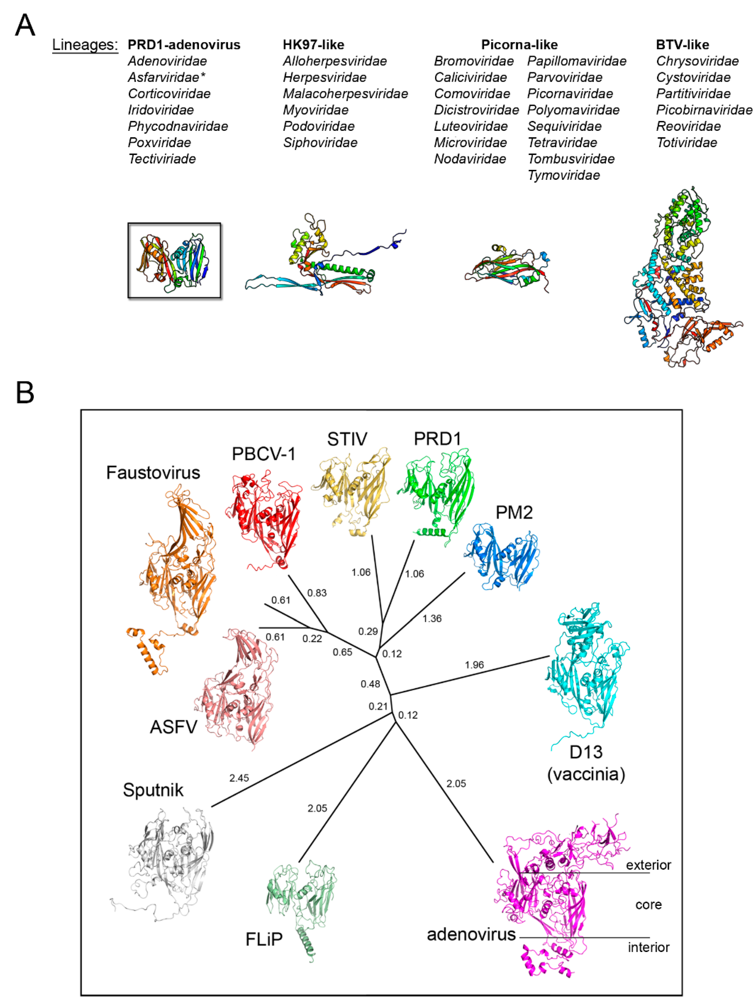 Viruses 12 01146 g002