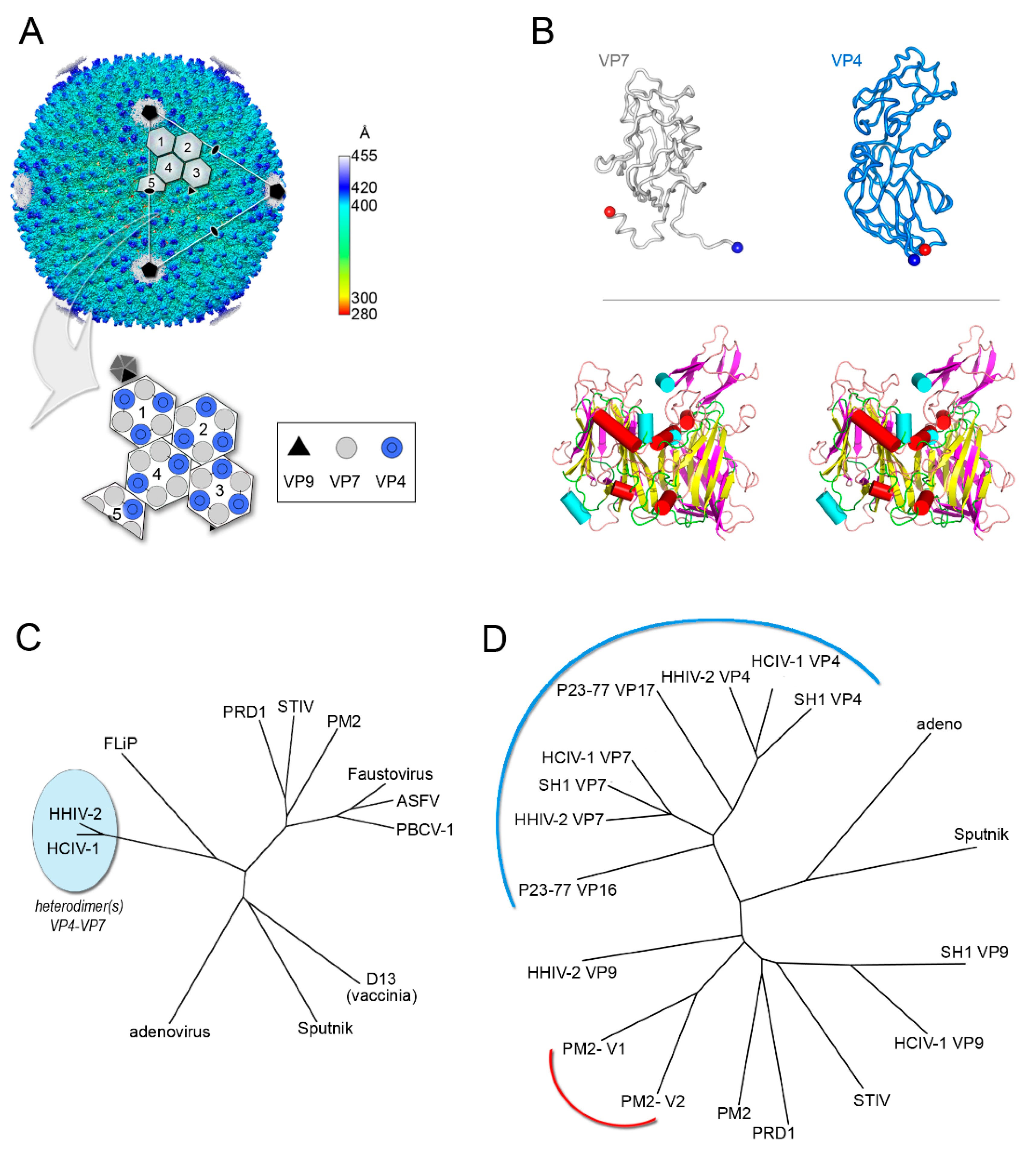 Viruses 12 01146 g004