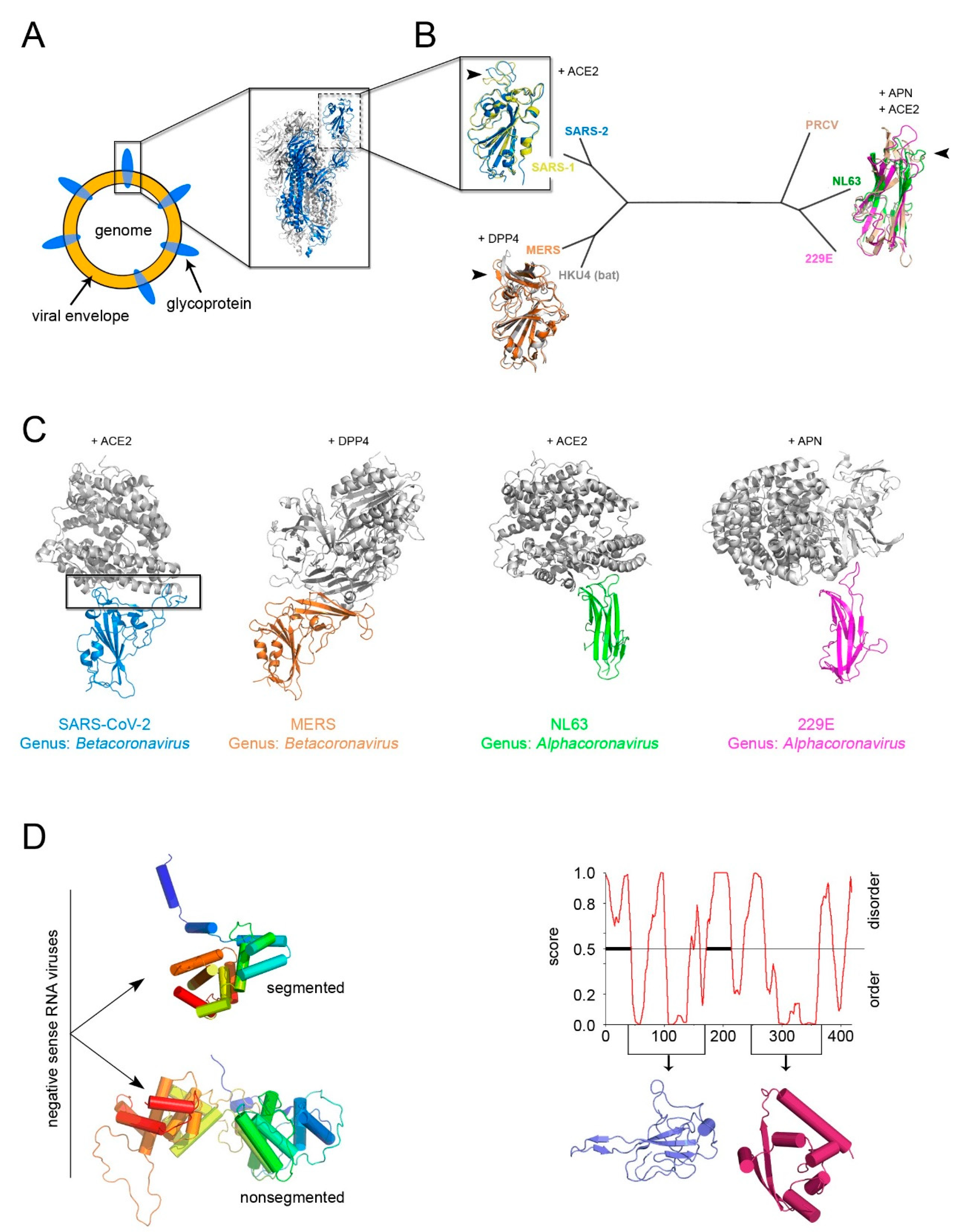 Viruses 12 01146 g005