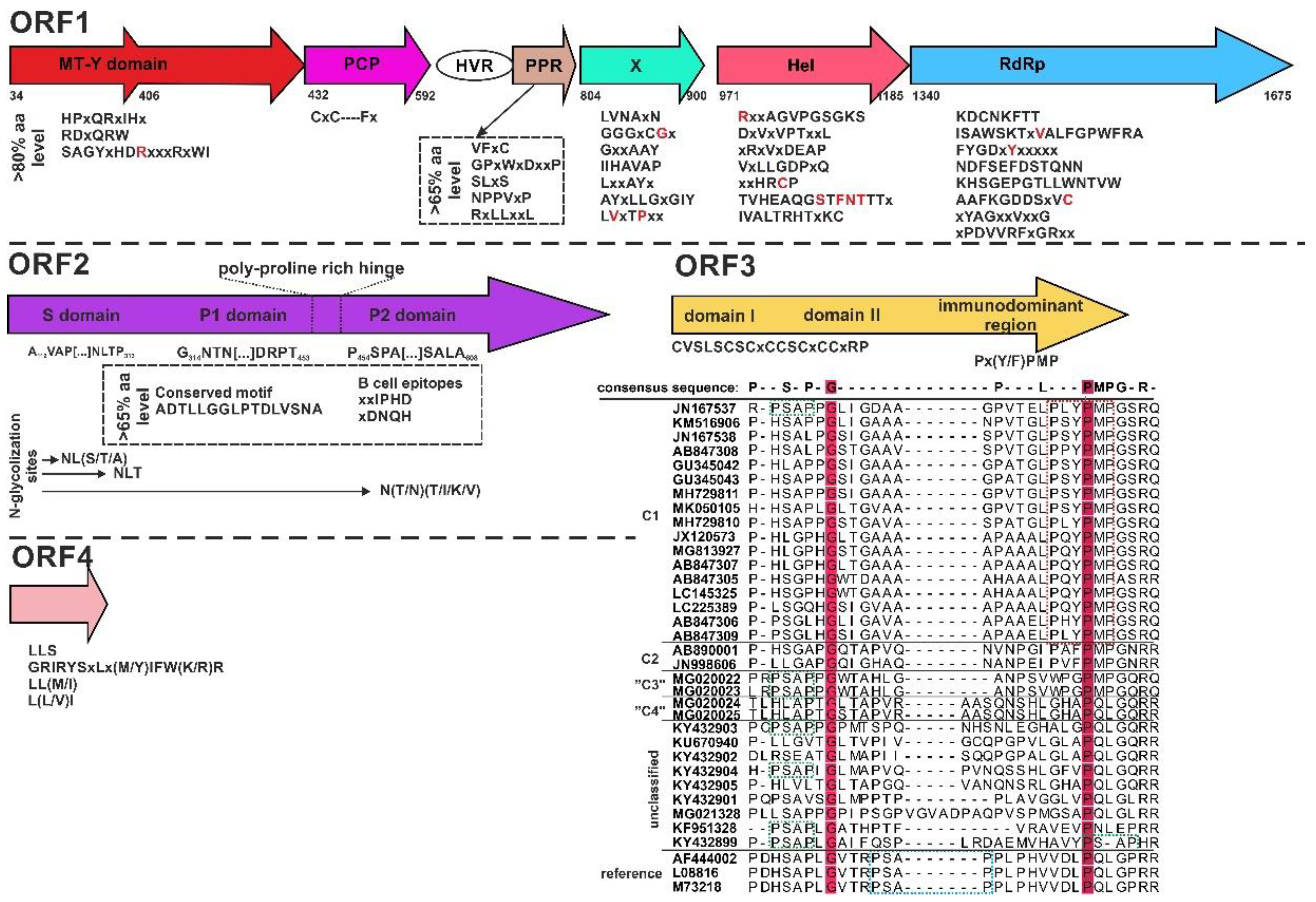 Viruses 12 01148 g002