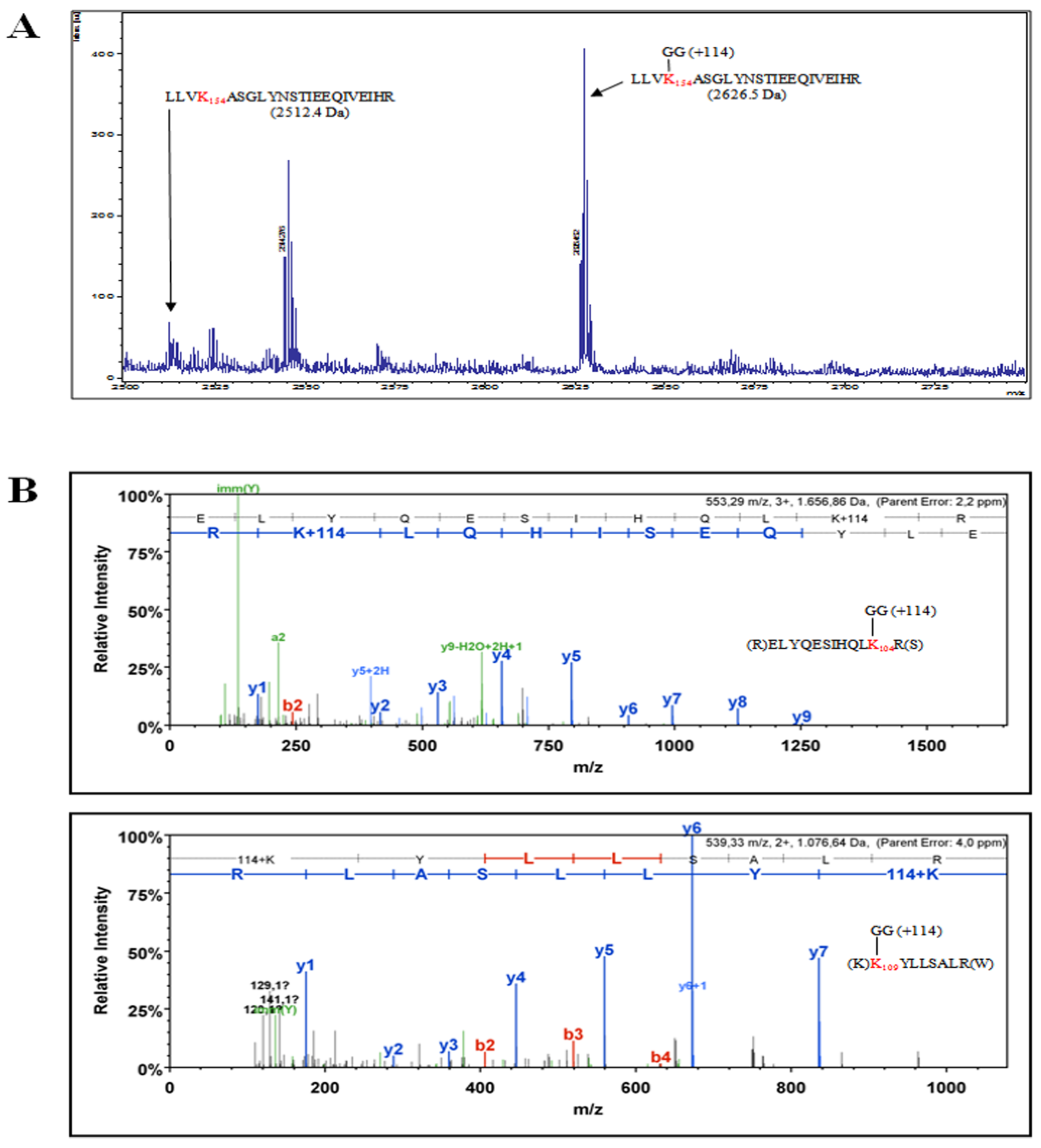 Viruses 12 01153 g005