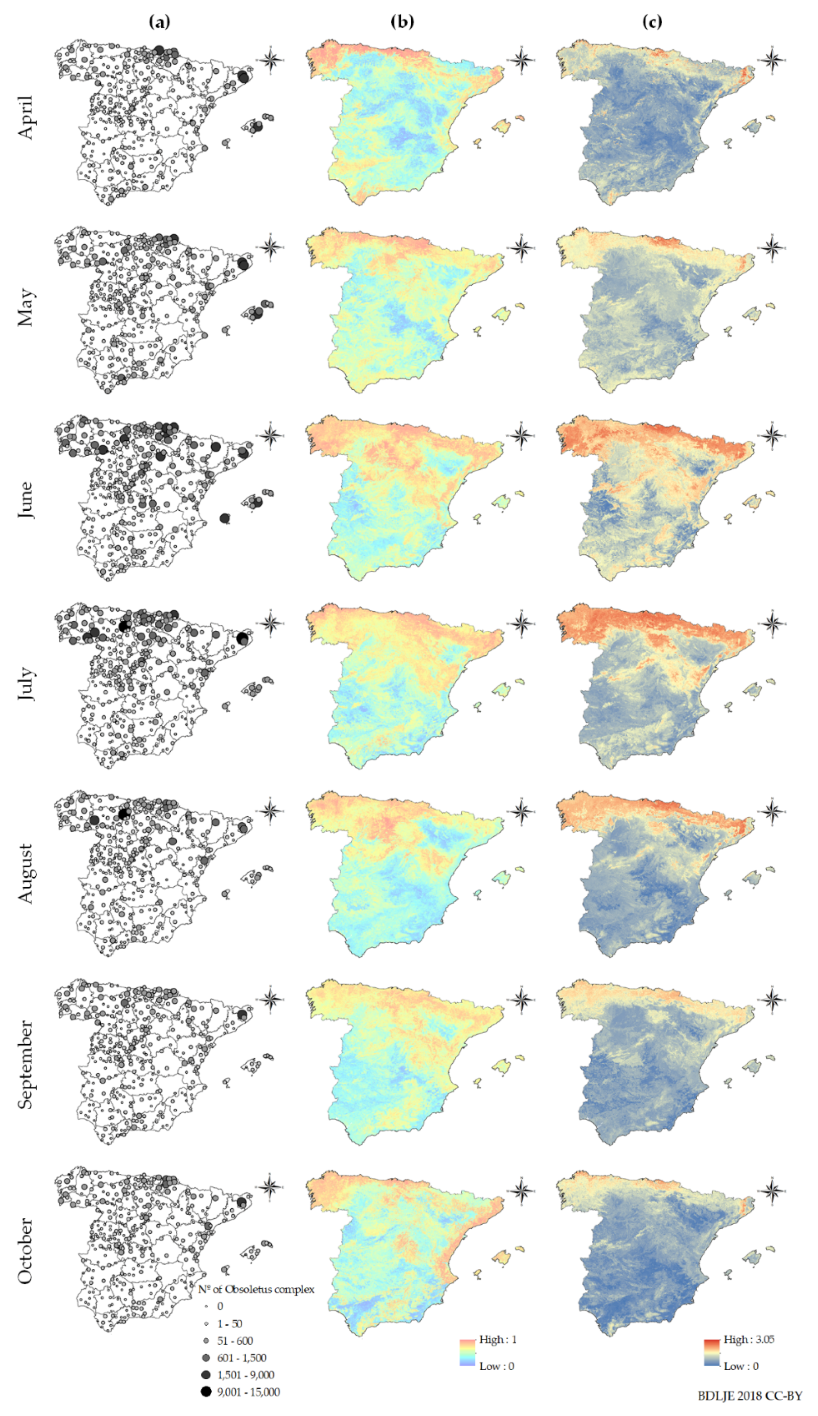 Viruses 12 01158 g003