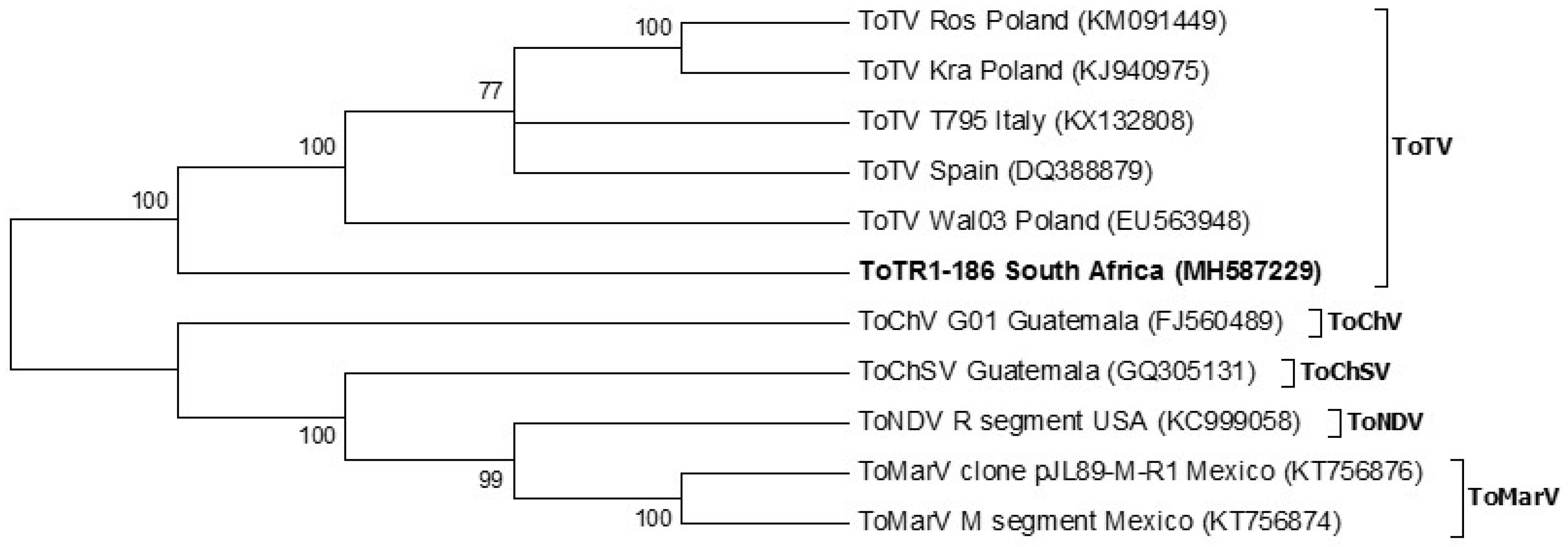 Viruses 12 01167 g003 Viruses 12 01167 g003