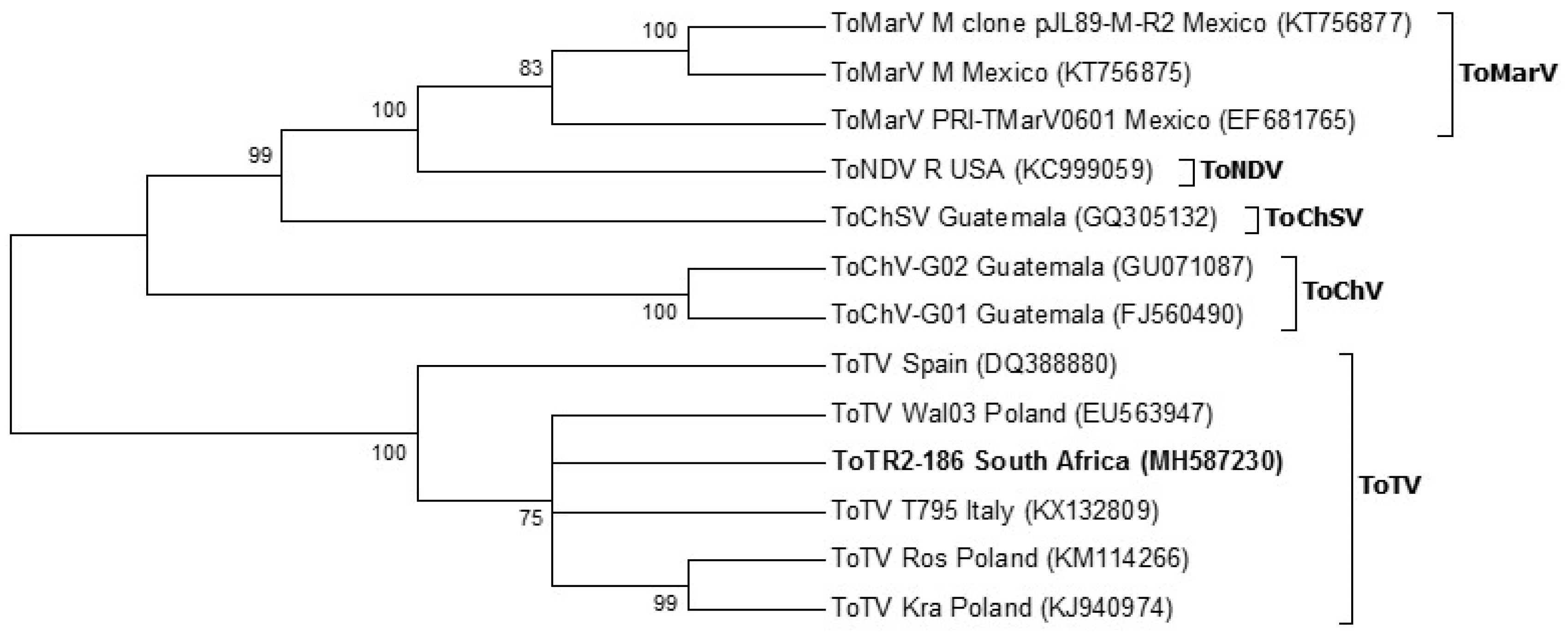 Viruses 12 01167 g004 Viruses 12 01167 g004
