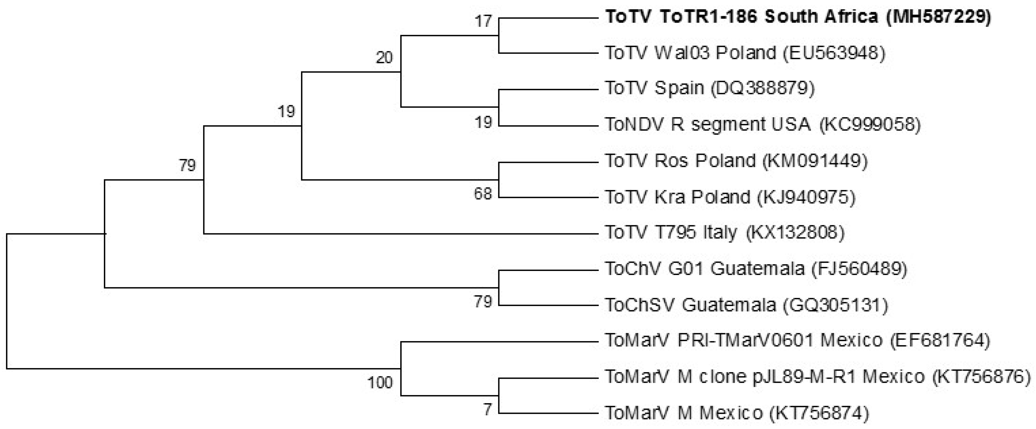 Viruses 12 01167 g005 Viruses 12 01167 g005