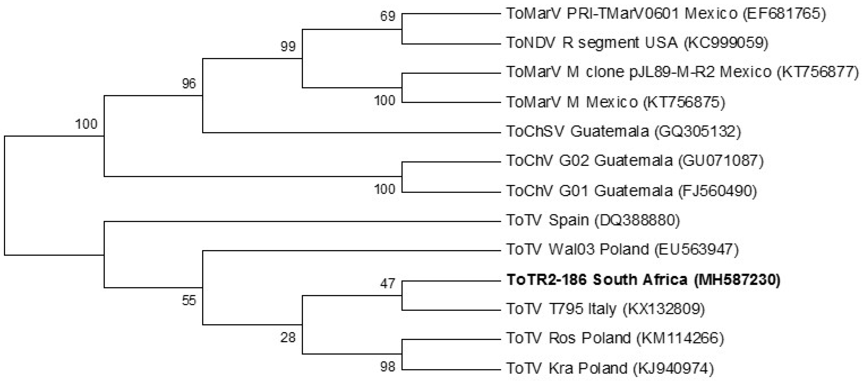 Viruses 12 01167 g006 Viruses 12 01167 g006