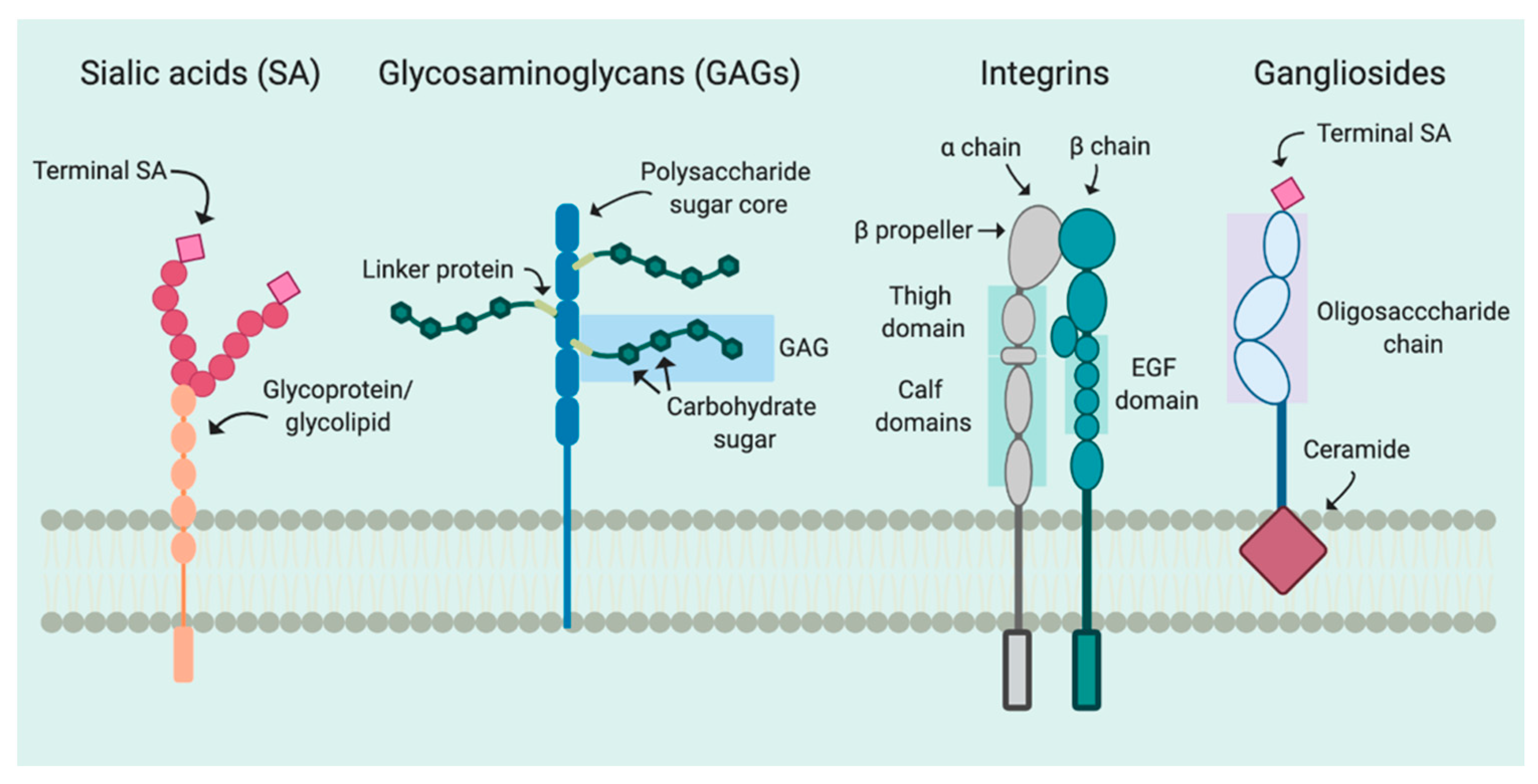 Viruses 12 01168 g001