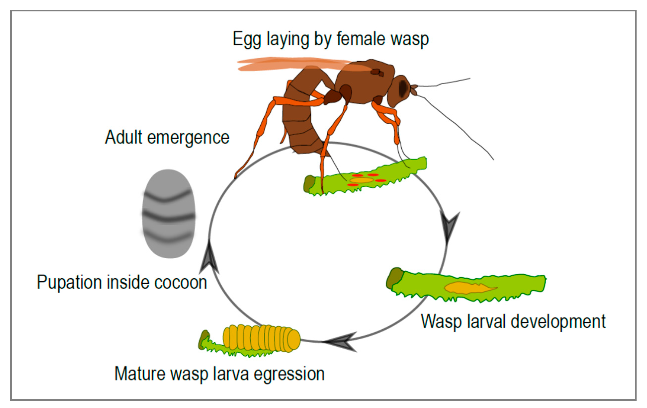 Viruses 12 01170 g001
