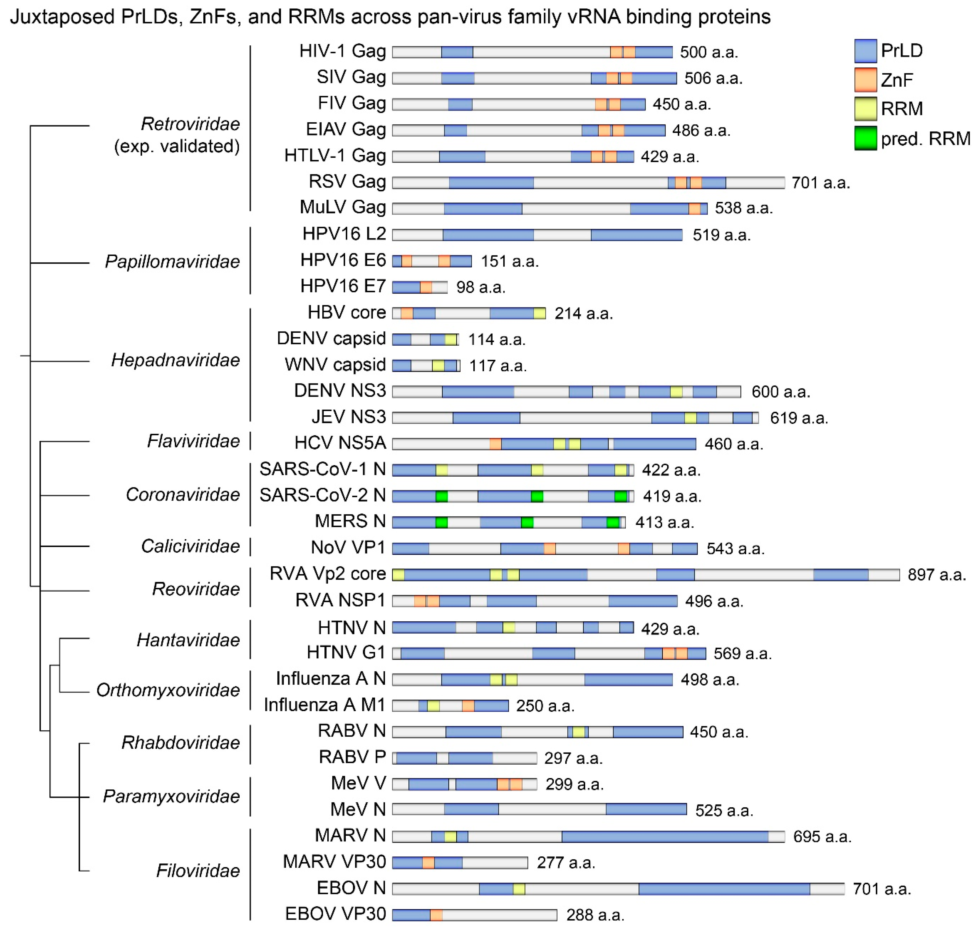 Viruses 12 01179 g001