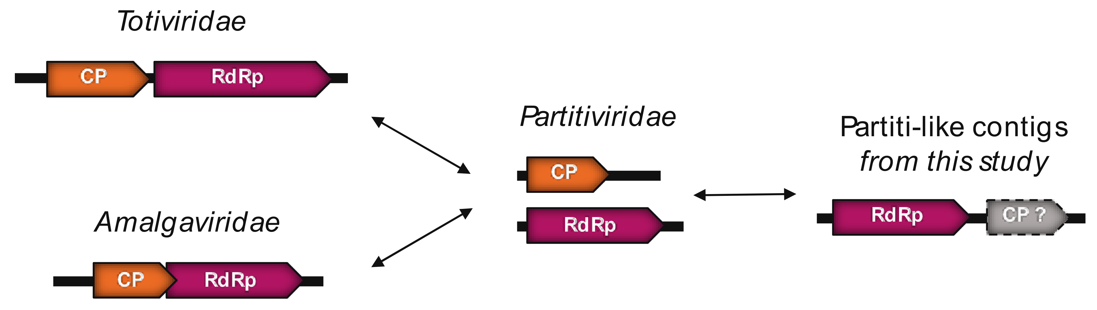 Viruses 12 01180 g005